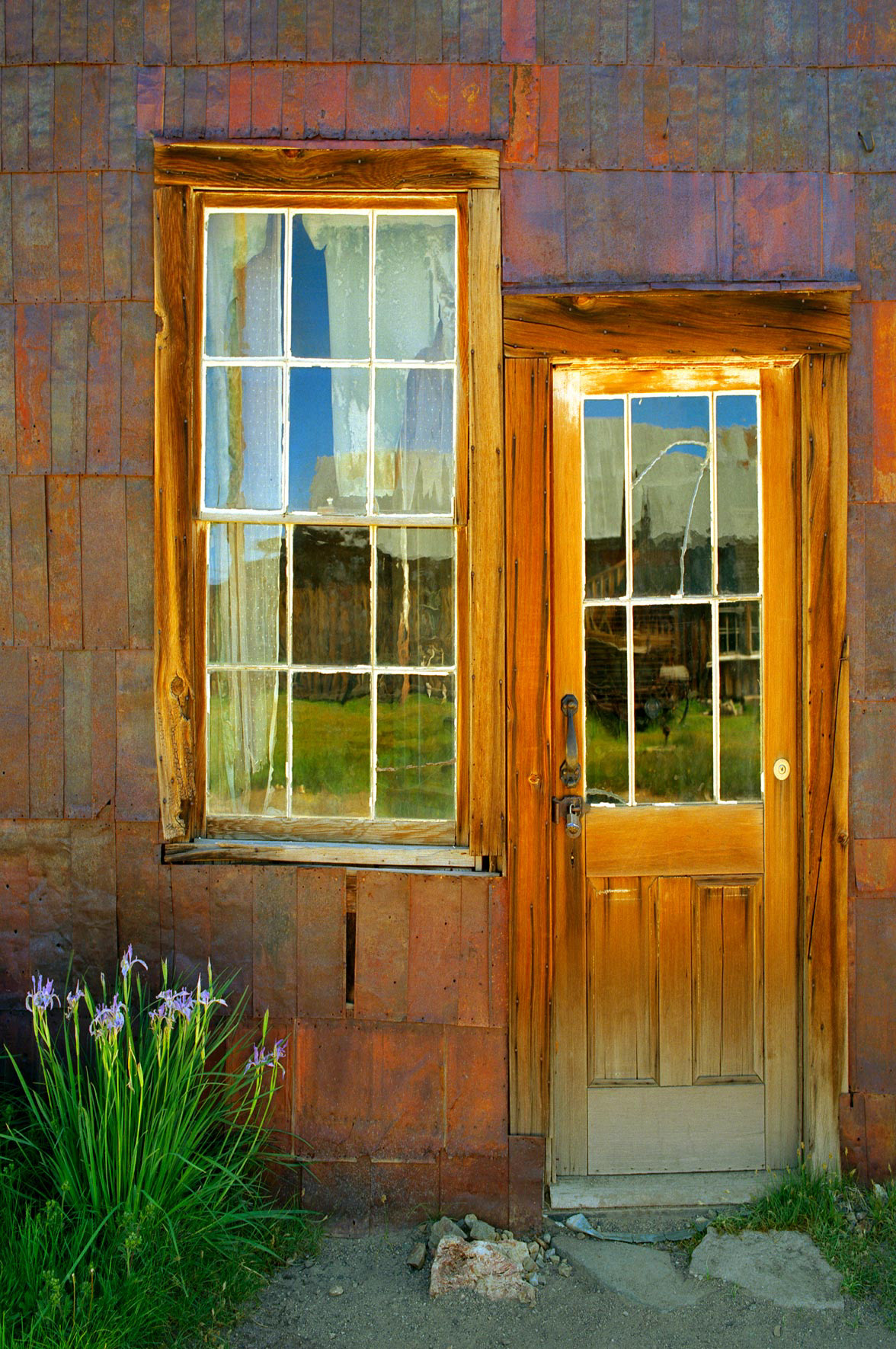 Bodie Door and Window
