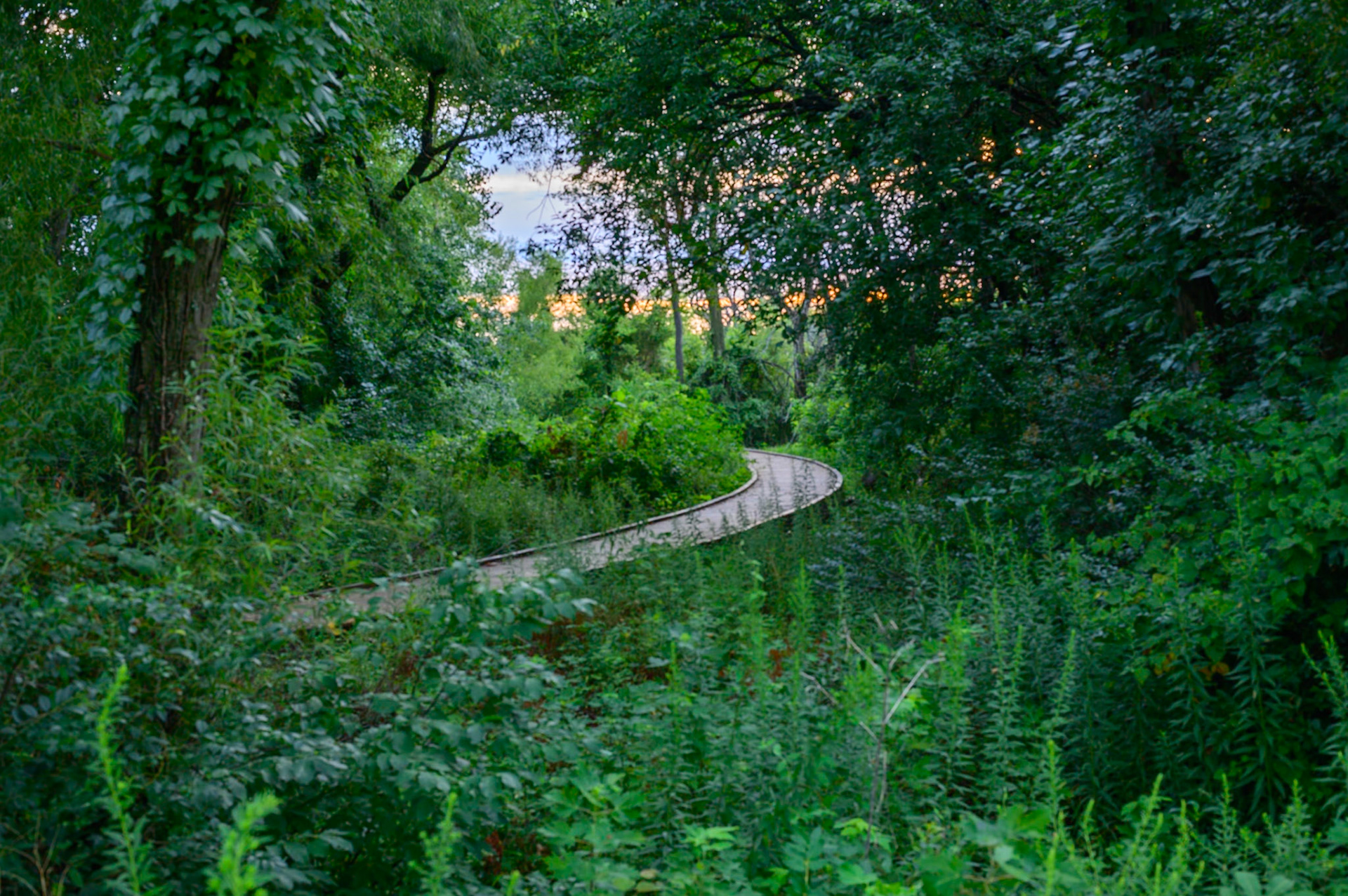 Osage Park (jungle), Bentonville