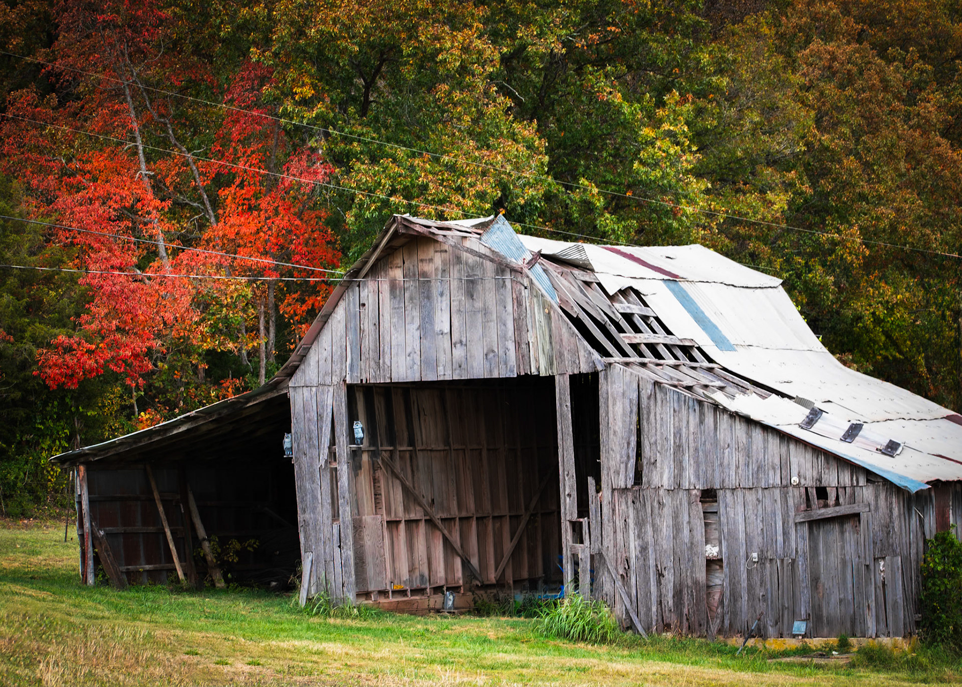 Leaning into the Wind, Pea Ridge