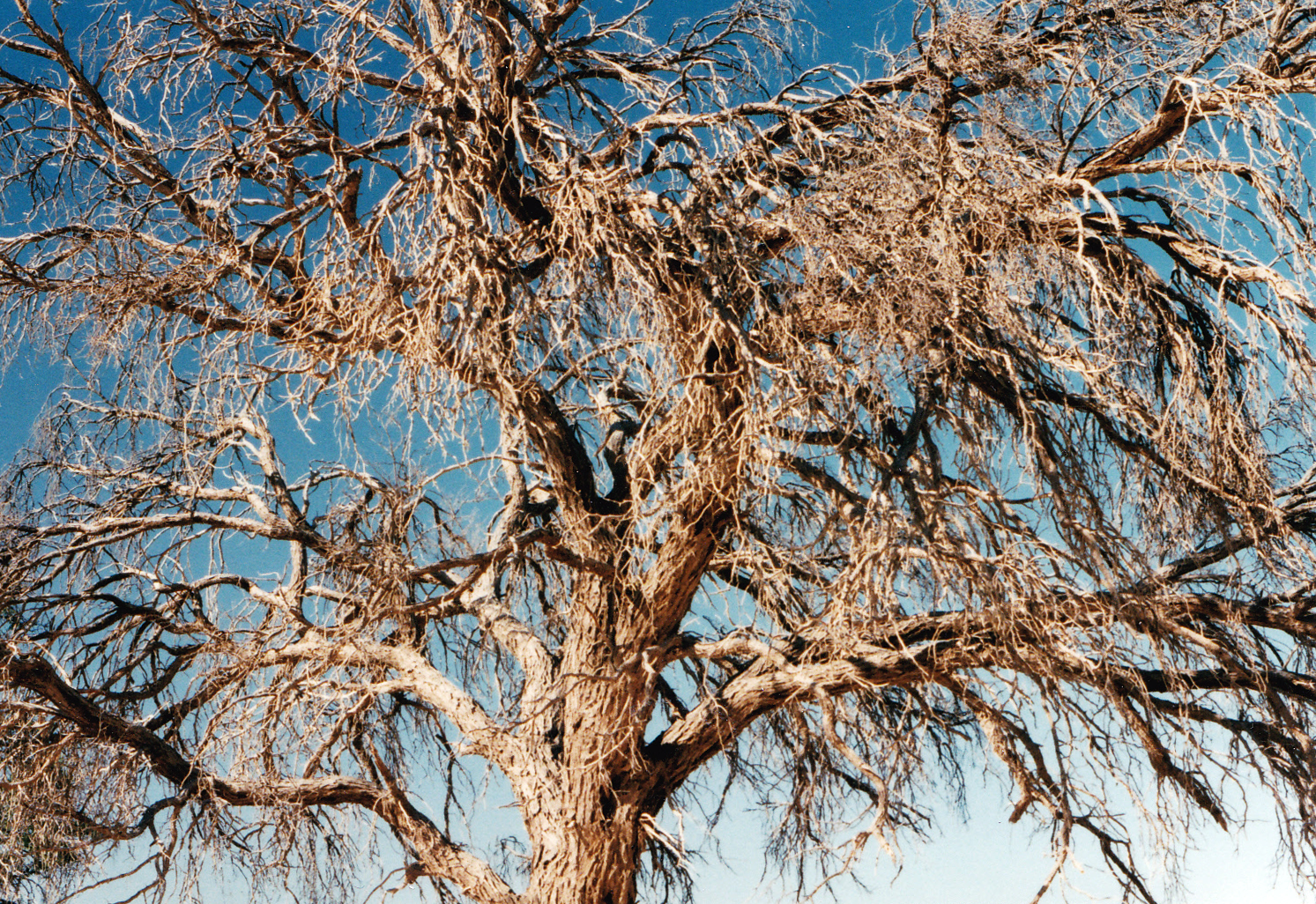 Namibia