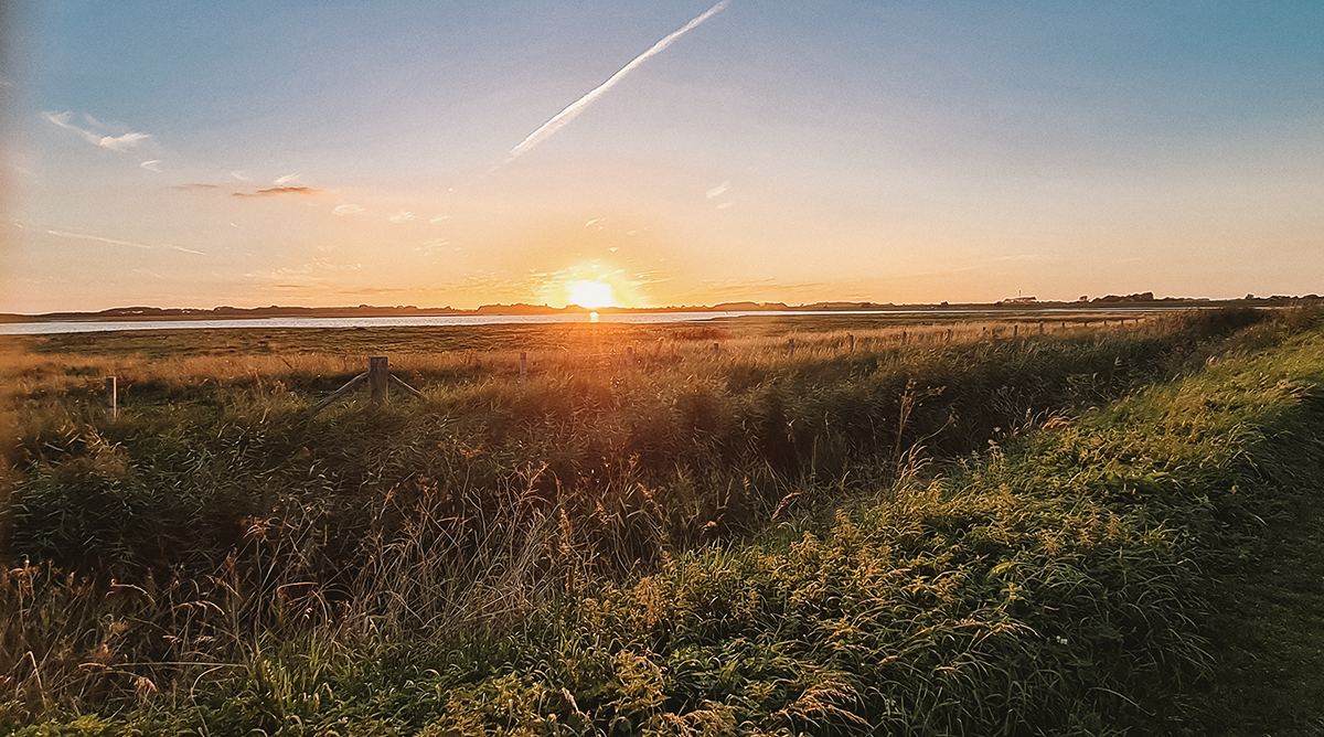 Unterwegs in der Provinz Zeeland