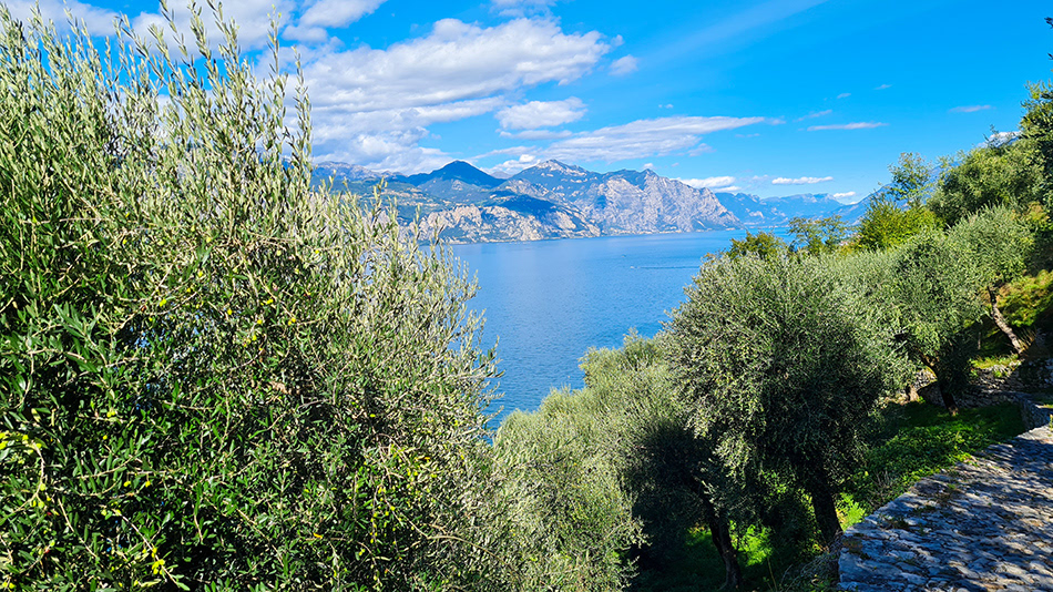 Italy