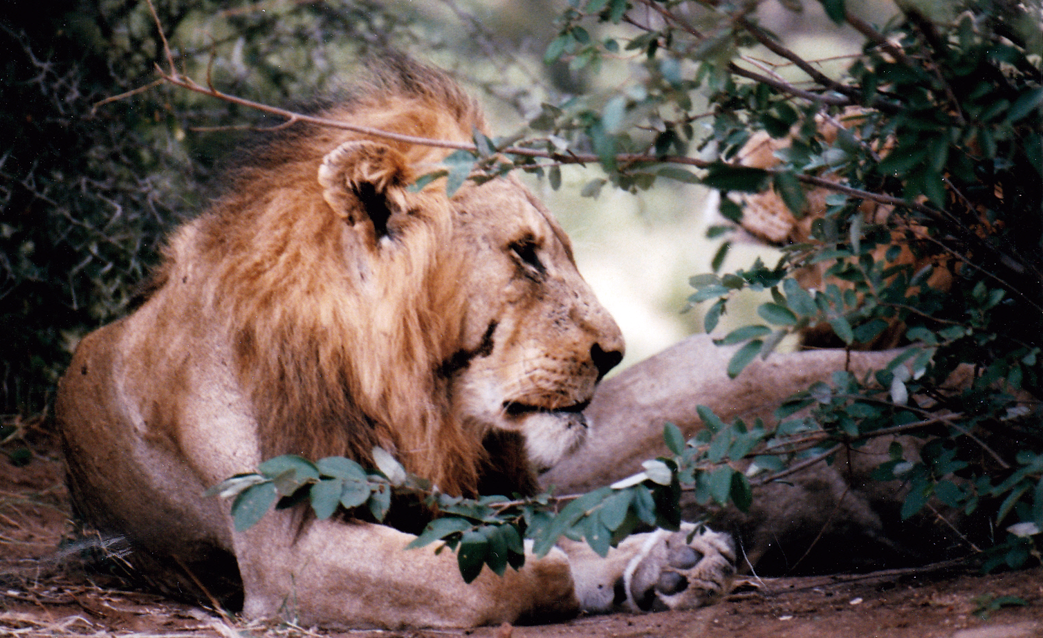 South Africa