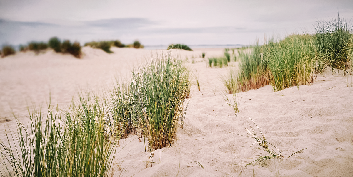 Unterwegs in der Provinz Zeeland