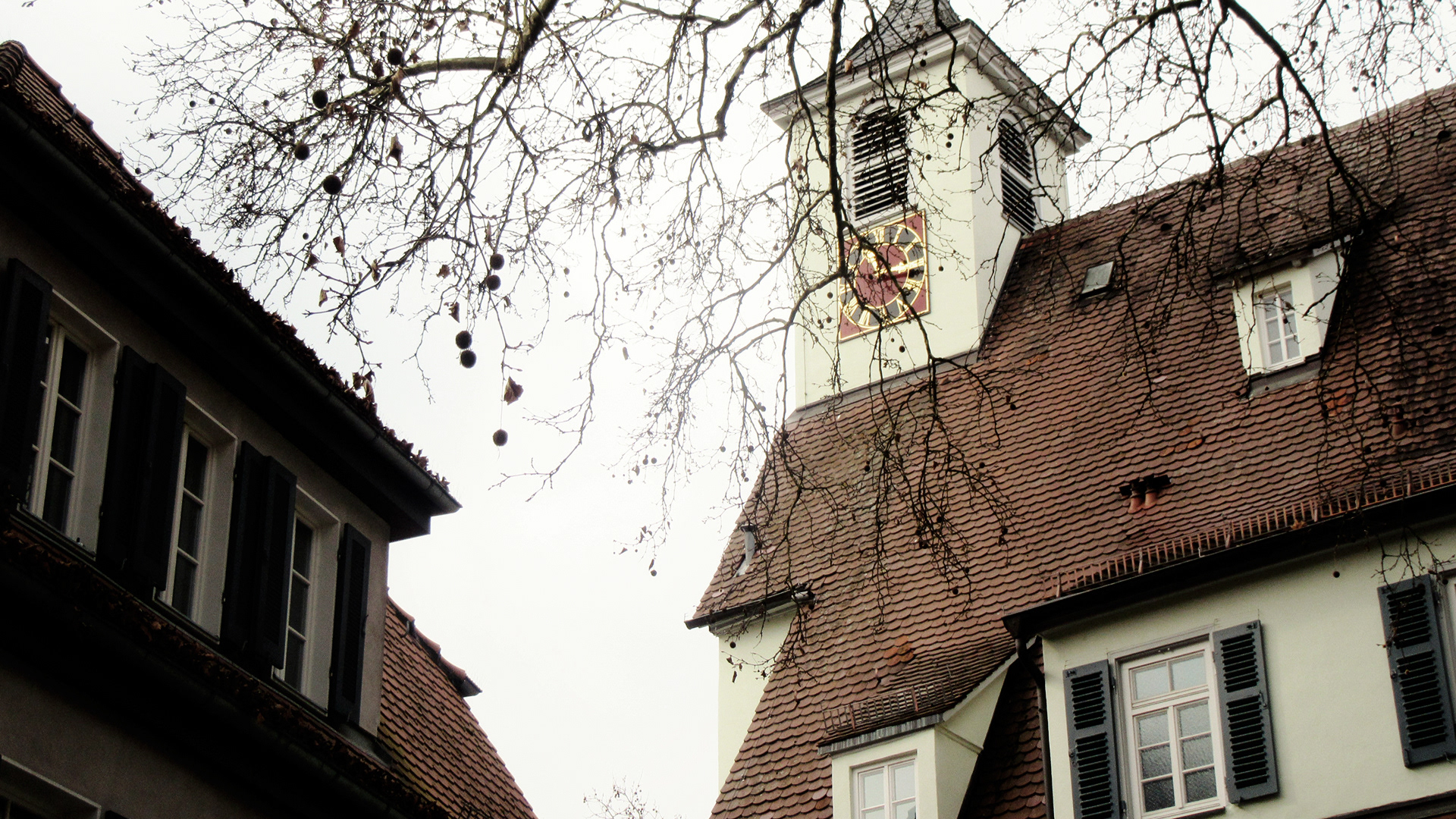 RECCE - Indischer Dokumentarfilm 2021