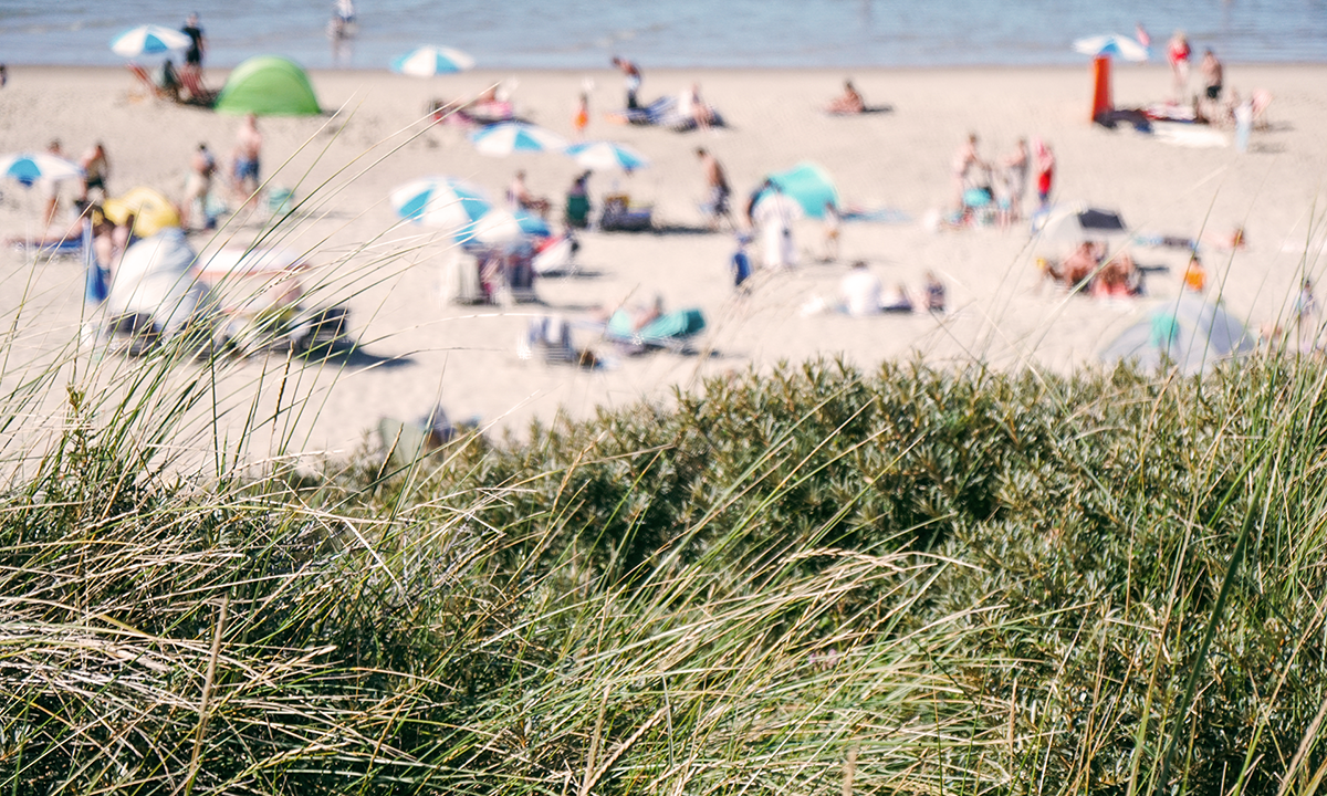 Unterwegs in der Provinz Zeeland