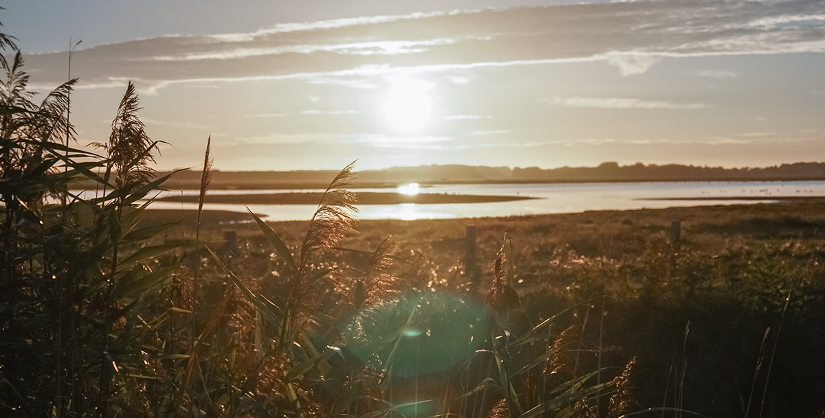 Unterwegs in der Provinz Zeeland