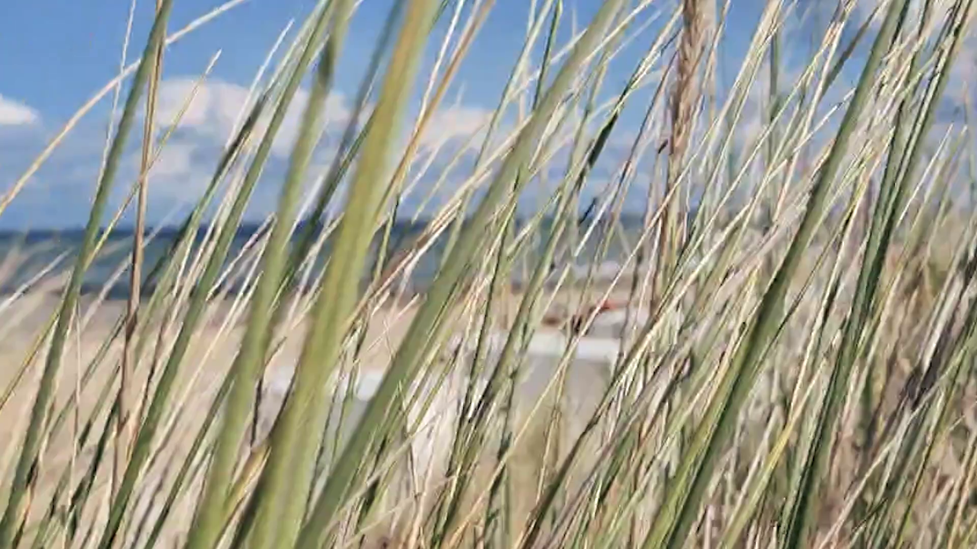 Videobanner - Website Markus Steuer Locationscout