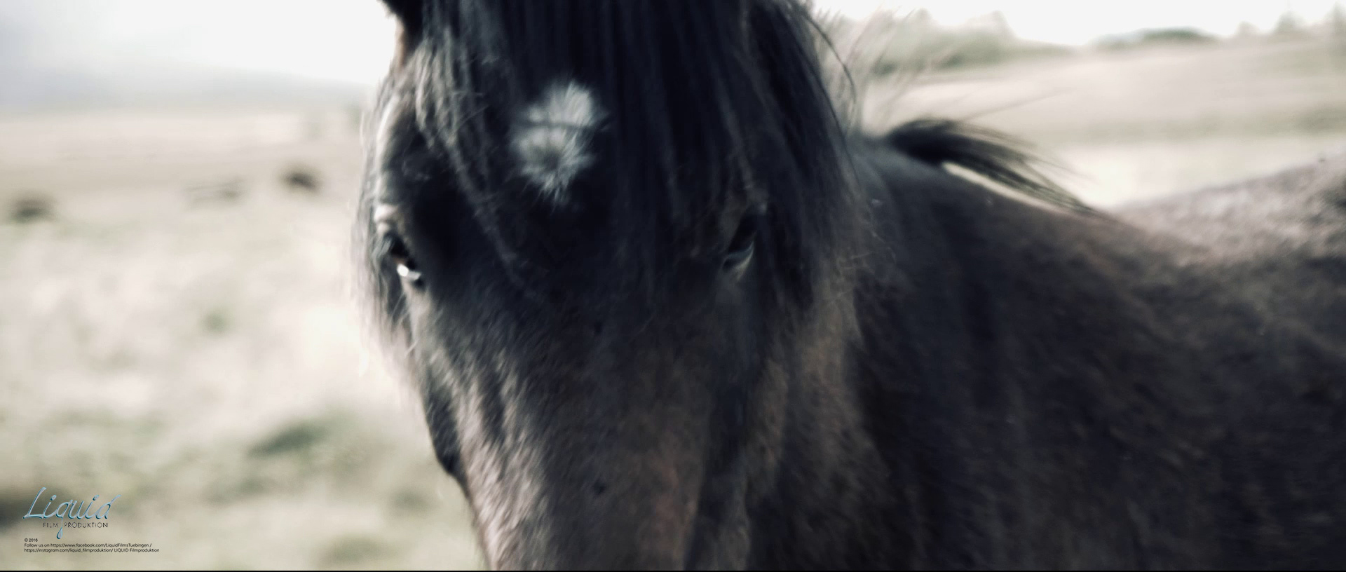 Filmstill - Simply Iceland (Travelmovie)
