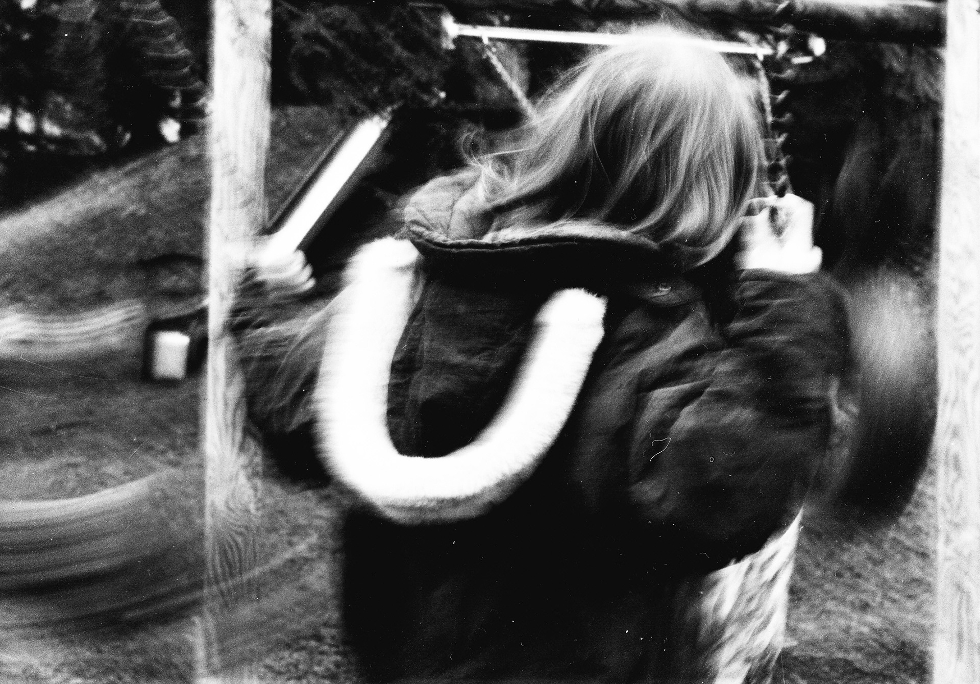 Fotografie Analog