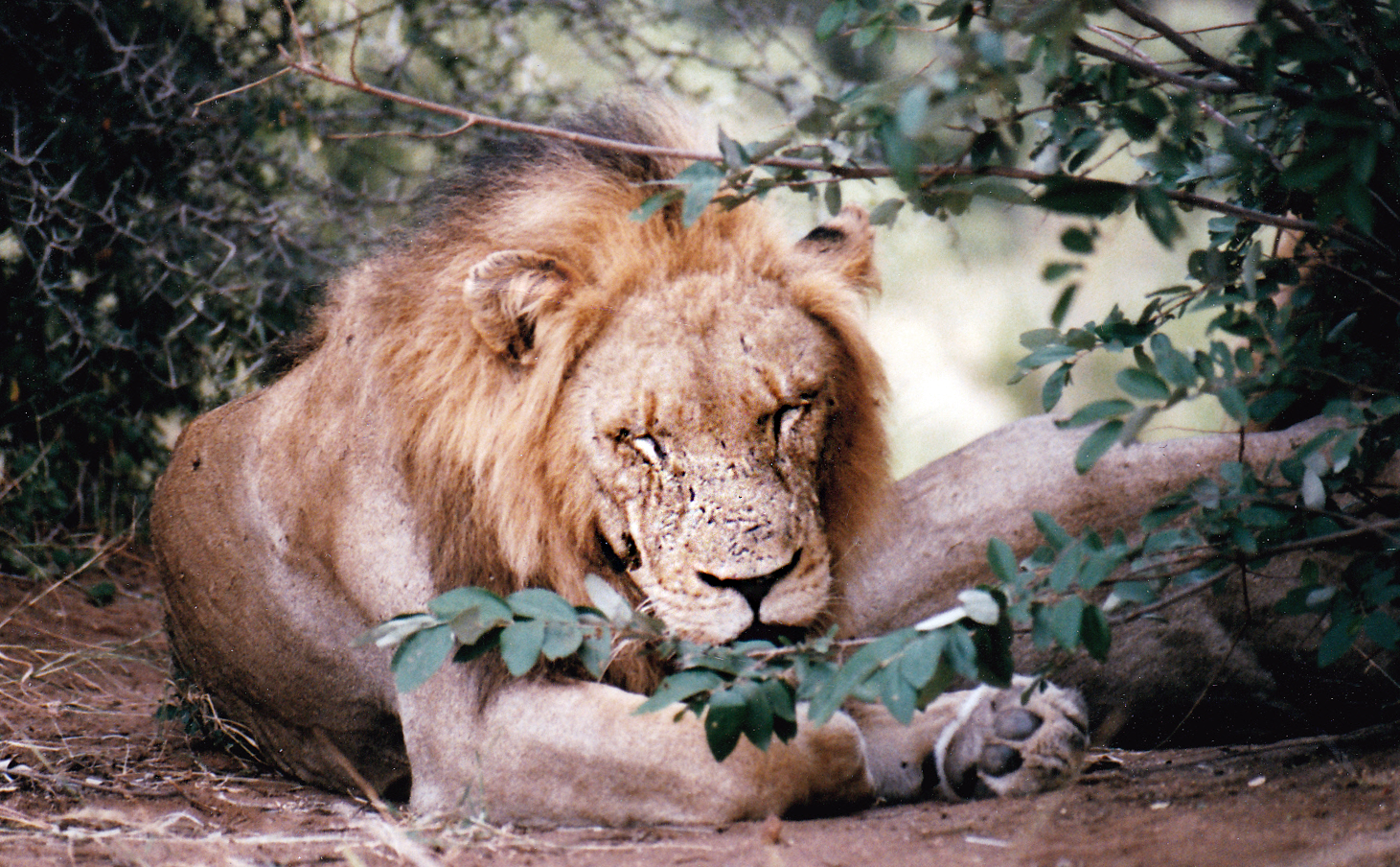 South Africa