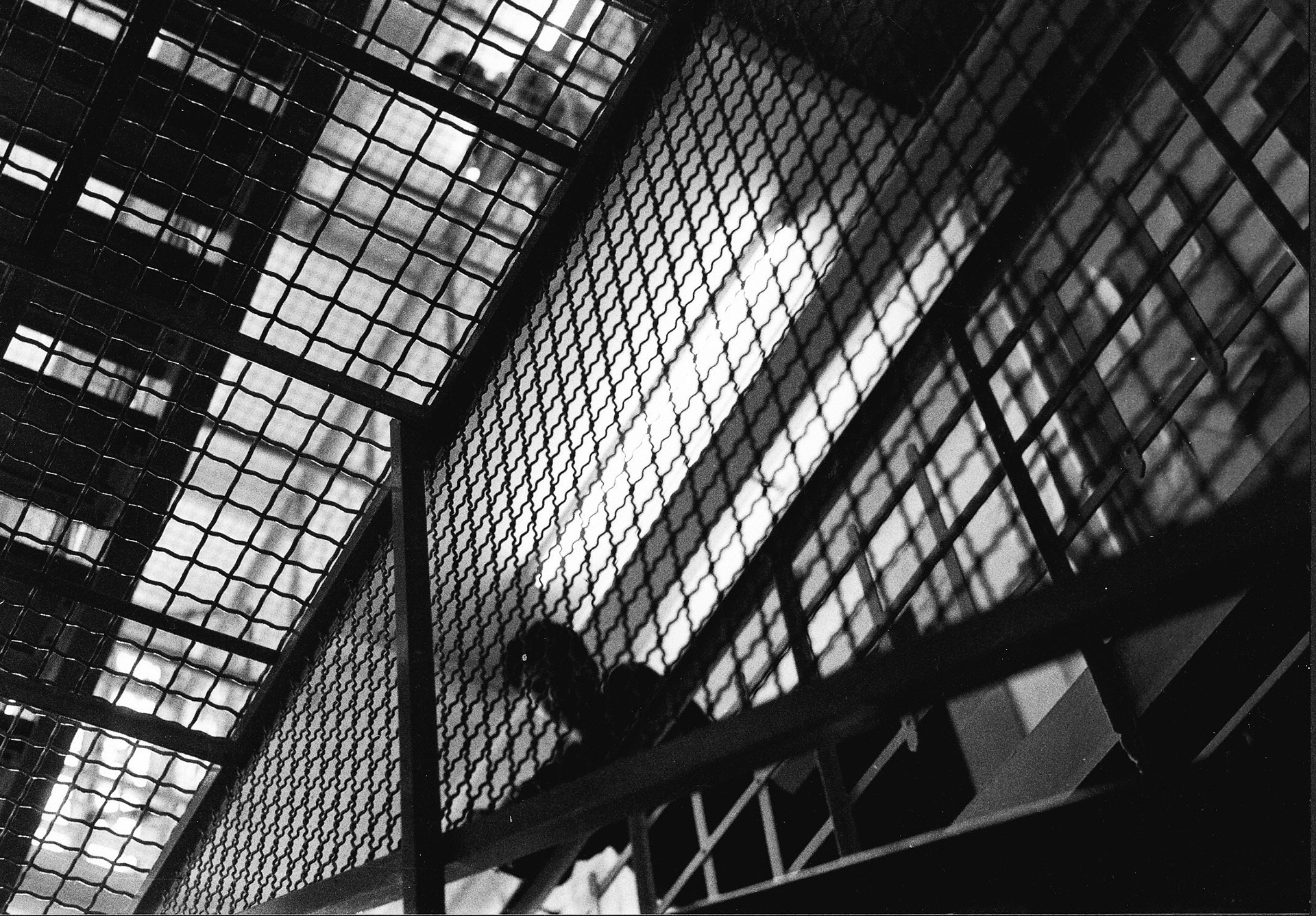 Fotografie Analog