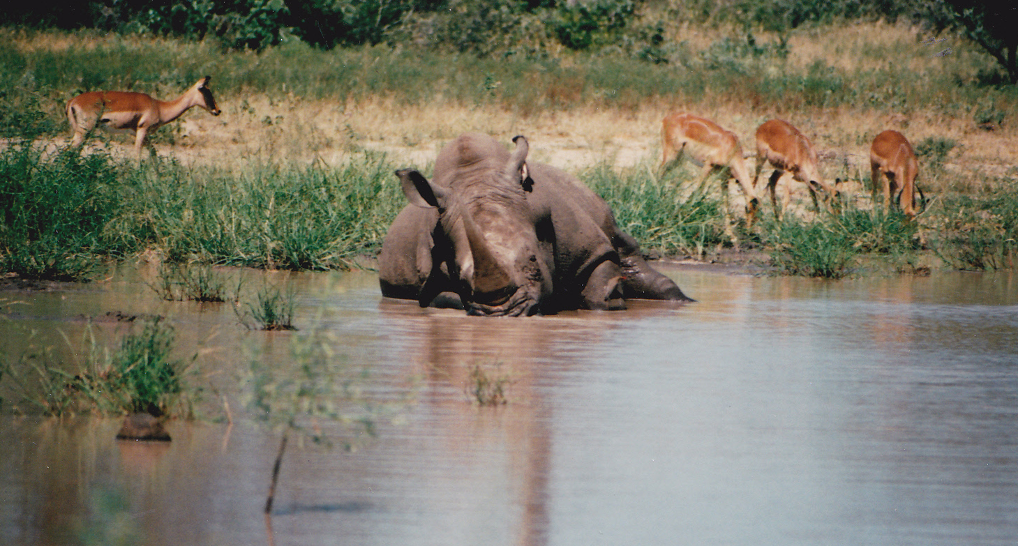 South Africa