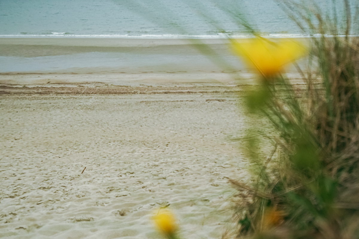 Unterwegs in der Provinz Zeeland
