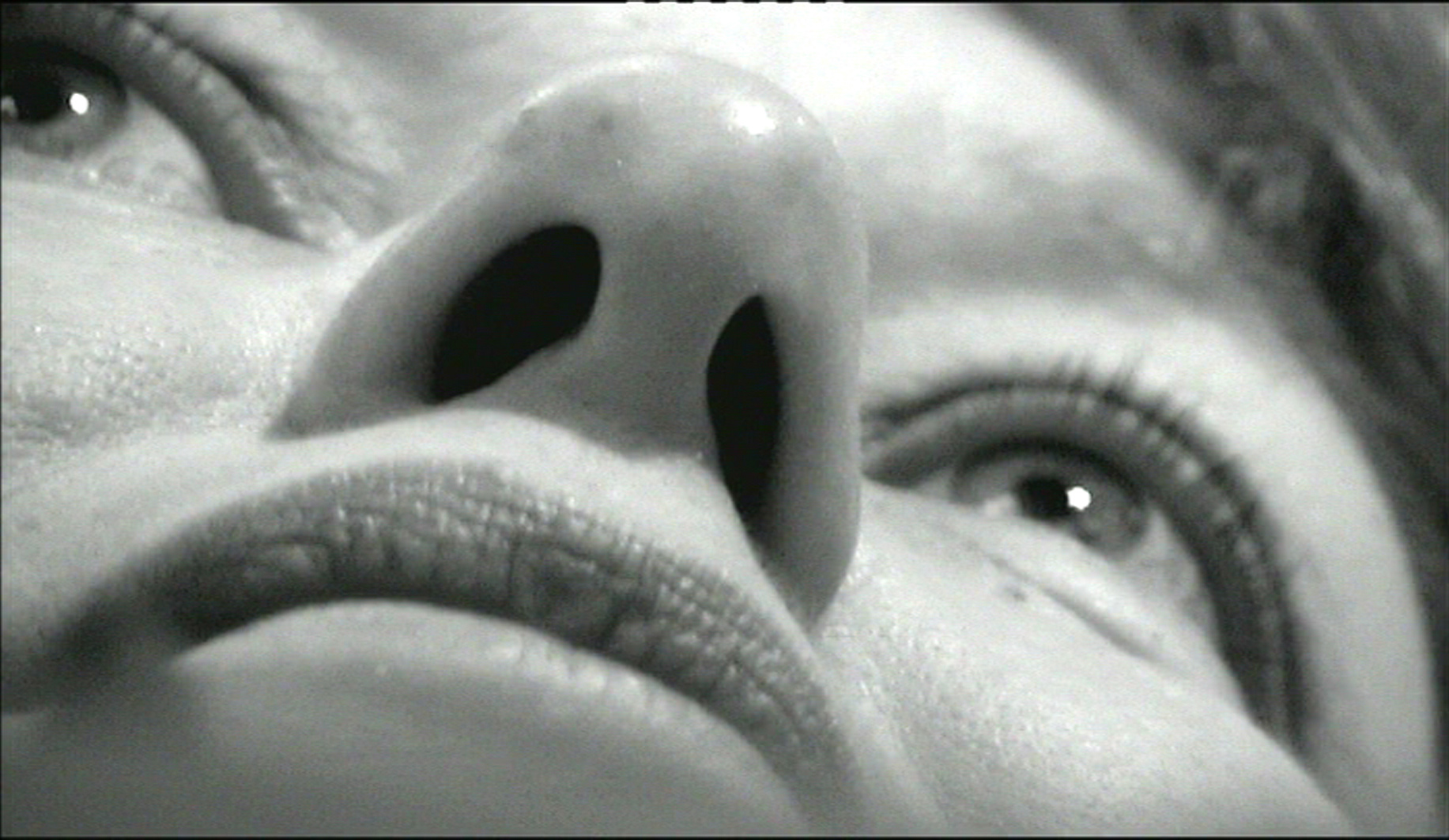 Filmstill - Ohne Titel (Ausstellungsfilm)