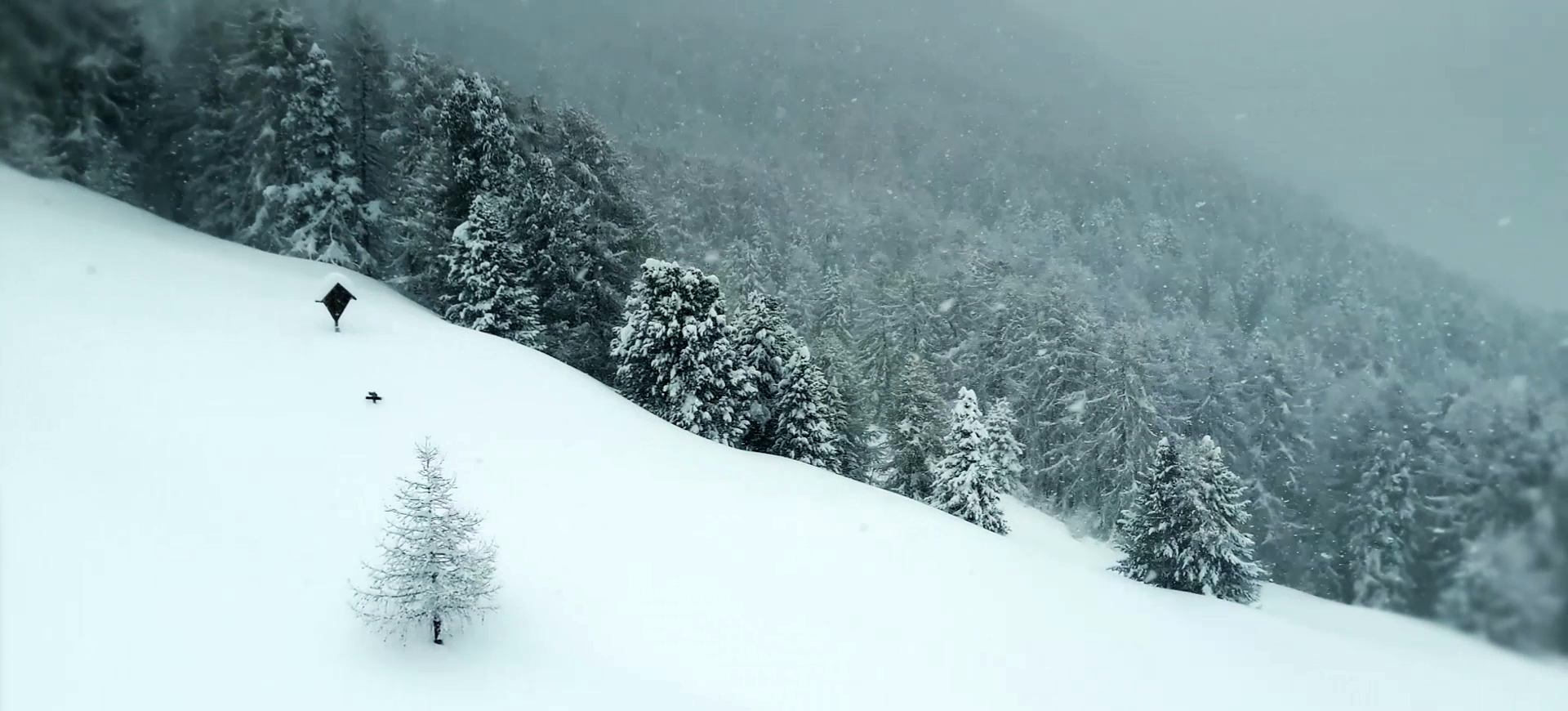 Filmstill - Südtirol (Travelmovie)