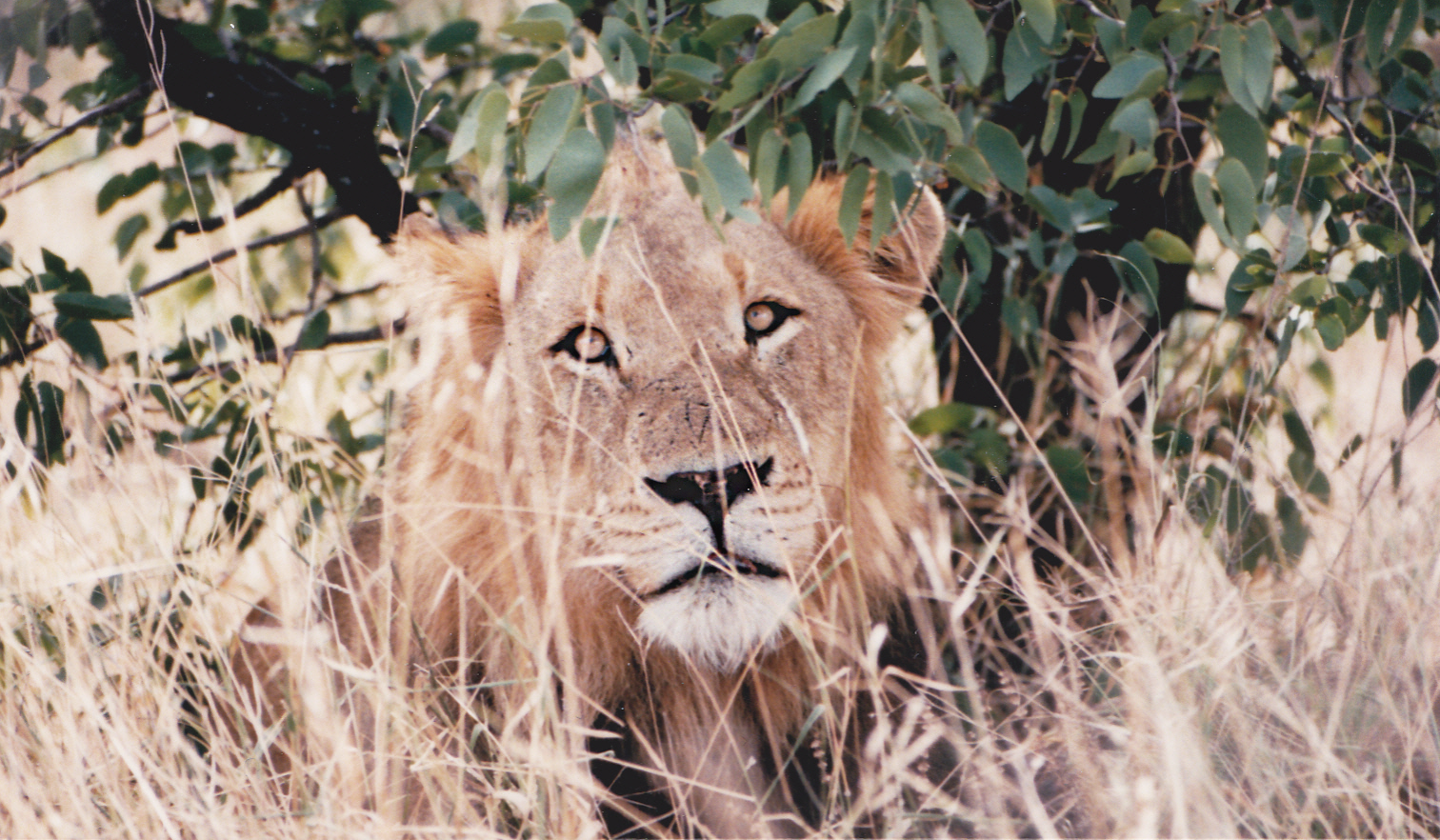 South Africa