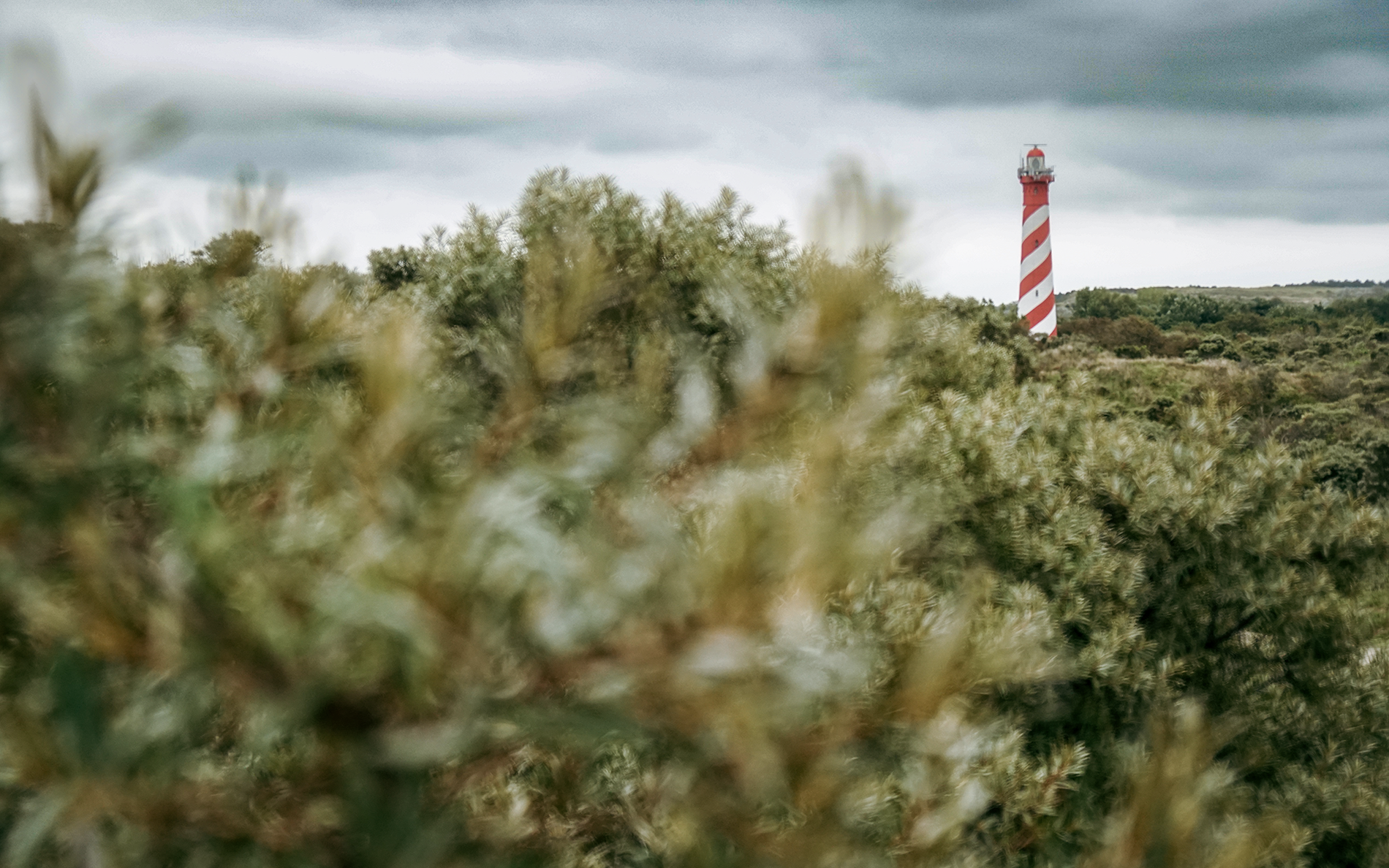 Unterwegs in der Provinz Zeeland