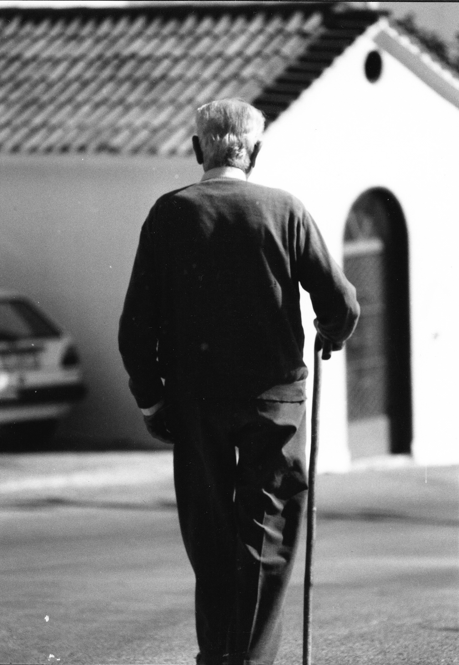 Fotografie Analog