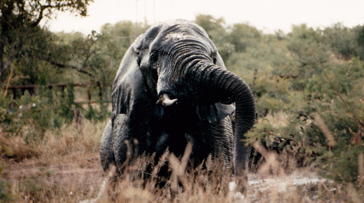 South Africa