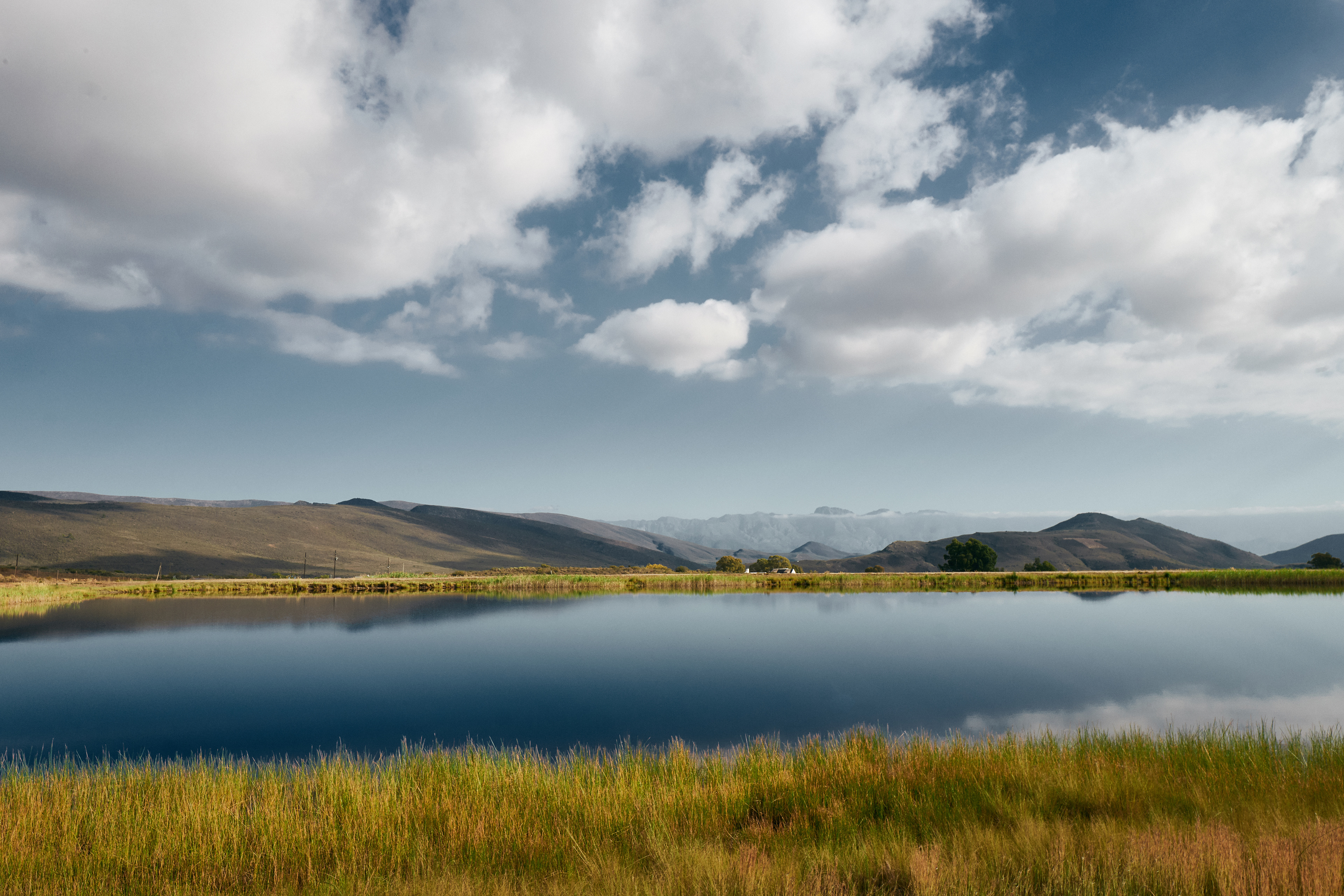 MCGREGOR SOUTH AFRICA