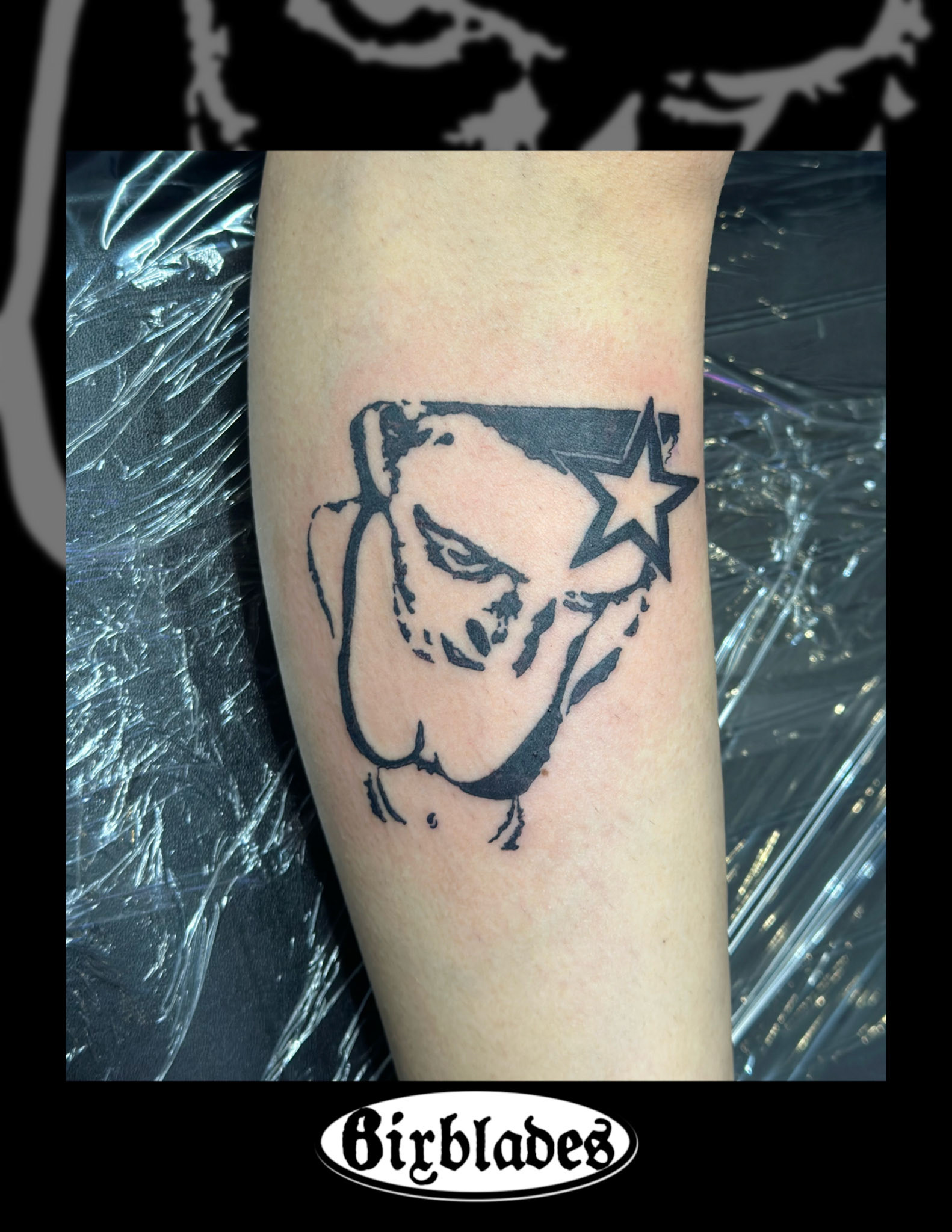 Deftones Around the Fur