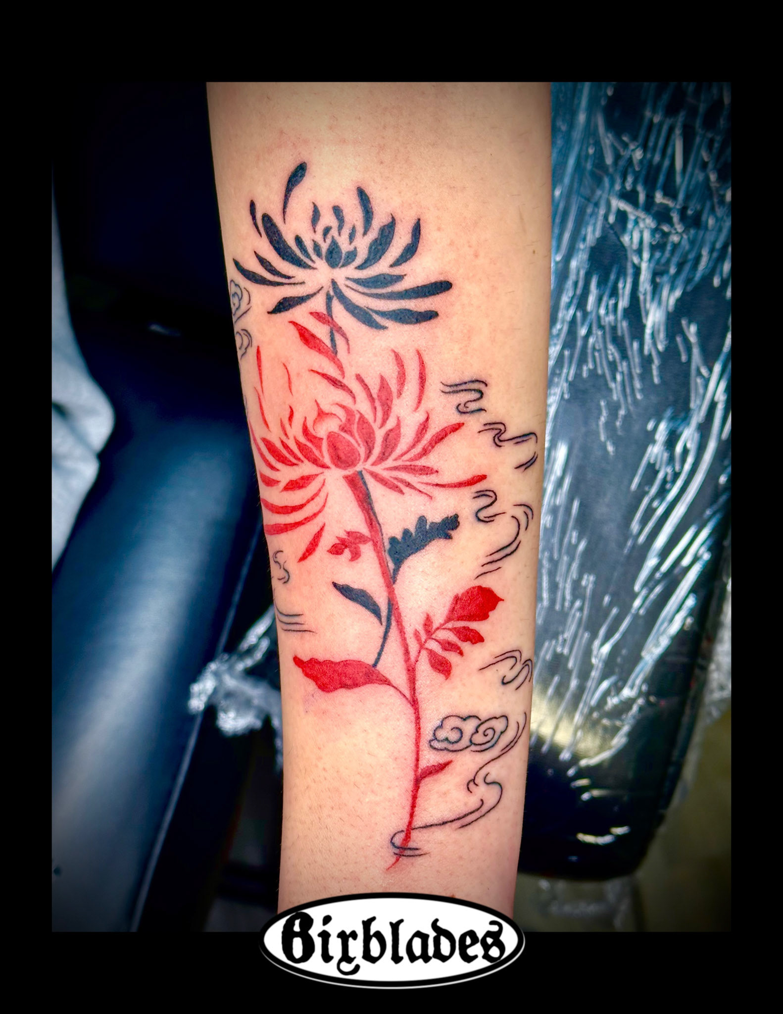 Japanese Chrysanthemums