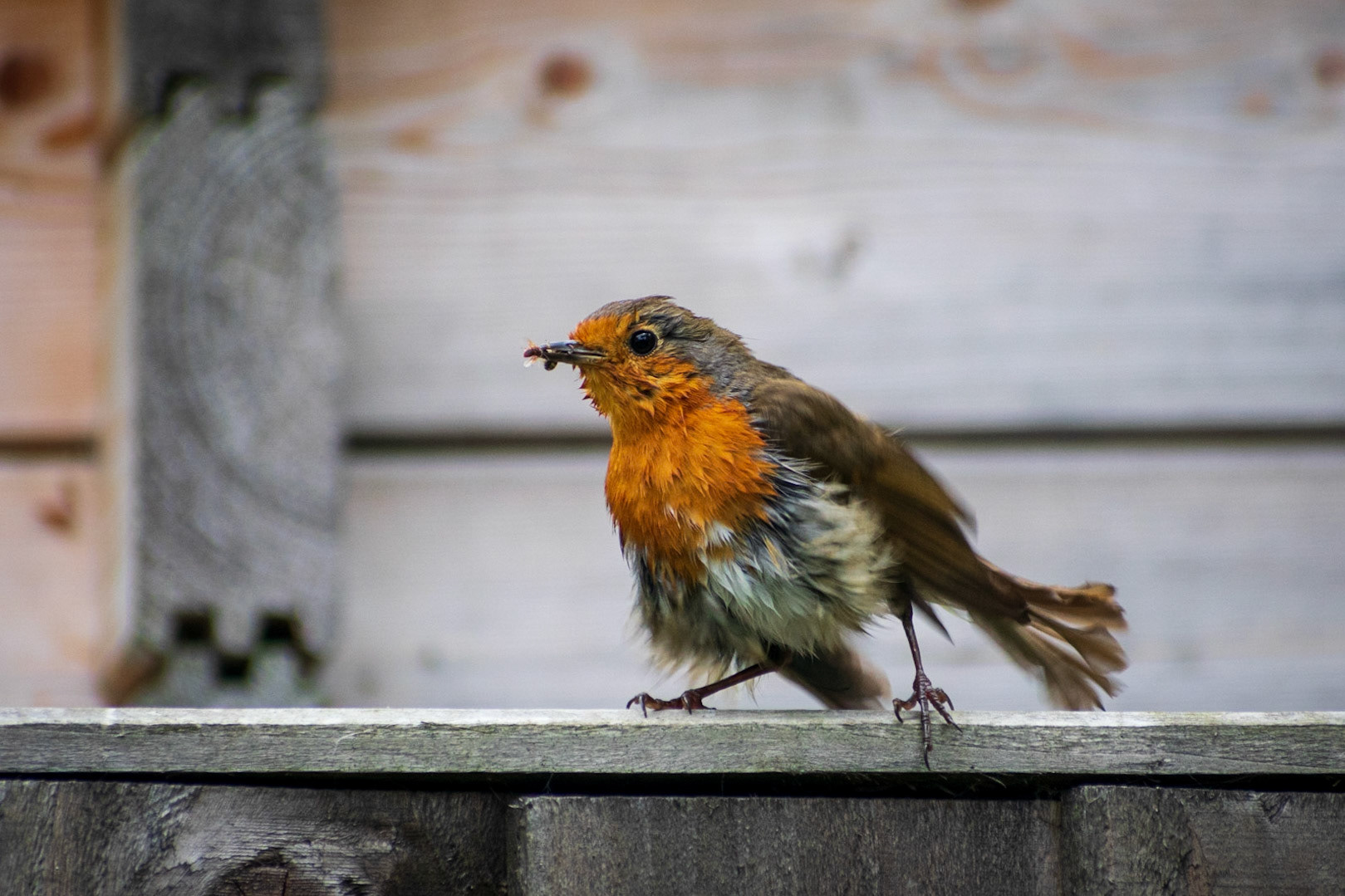 After a night on the tiles?