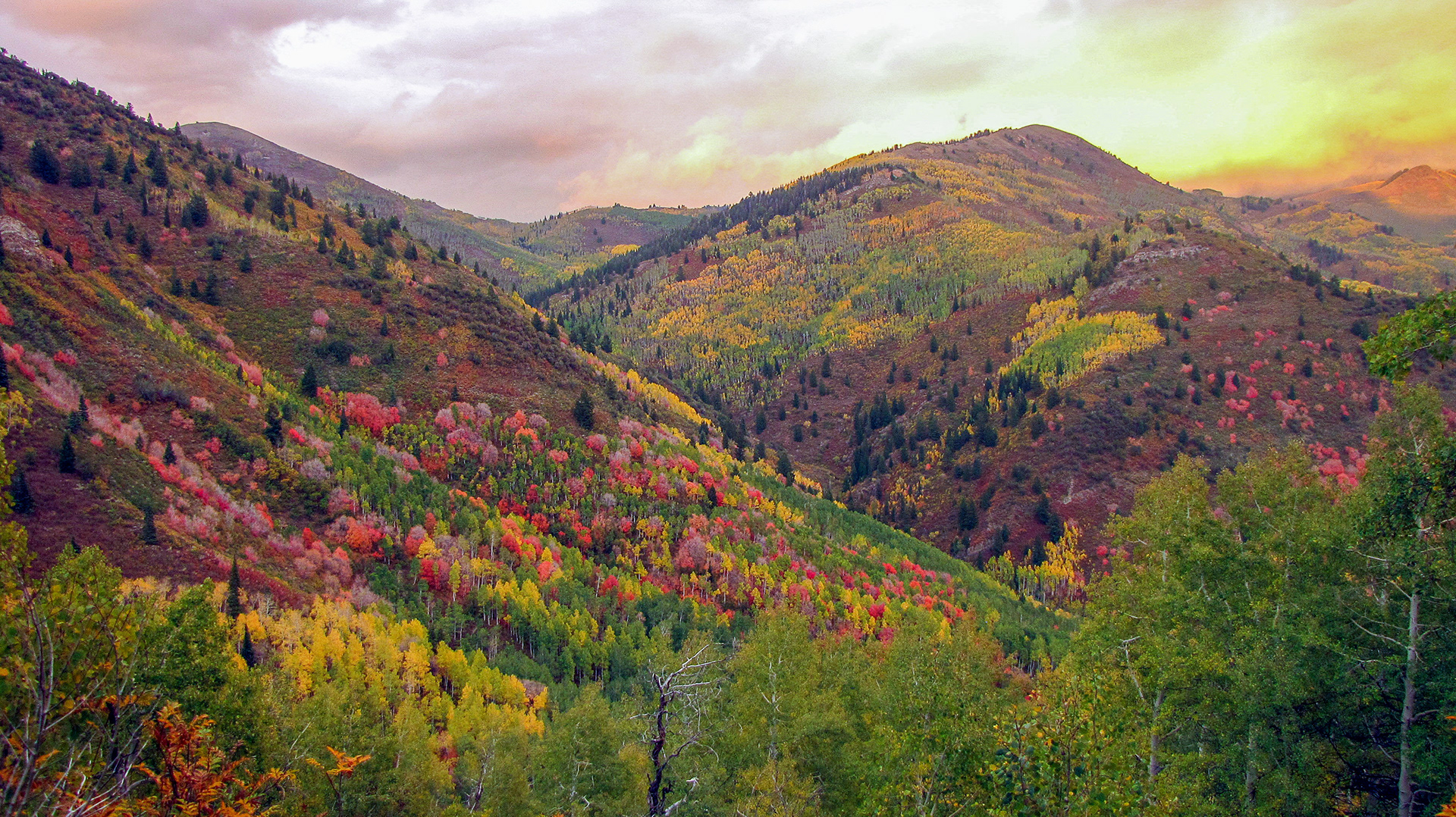utah