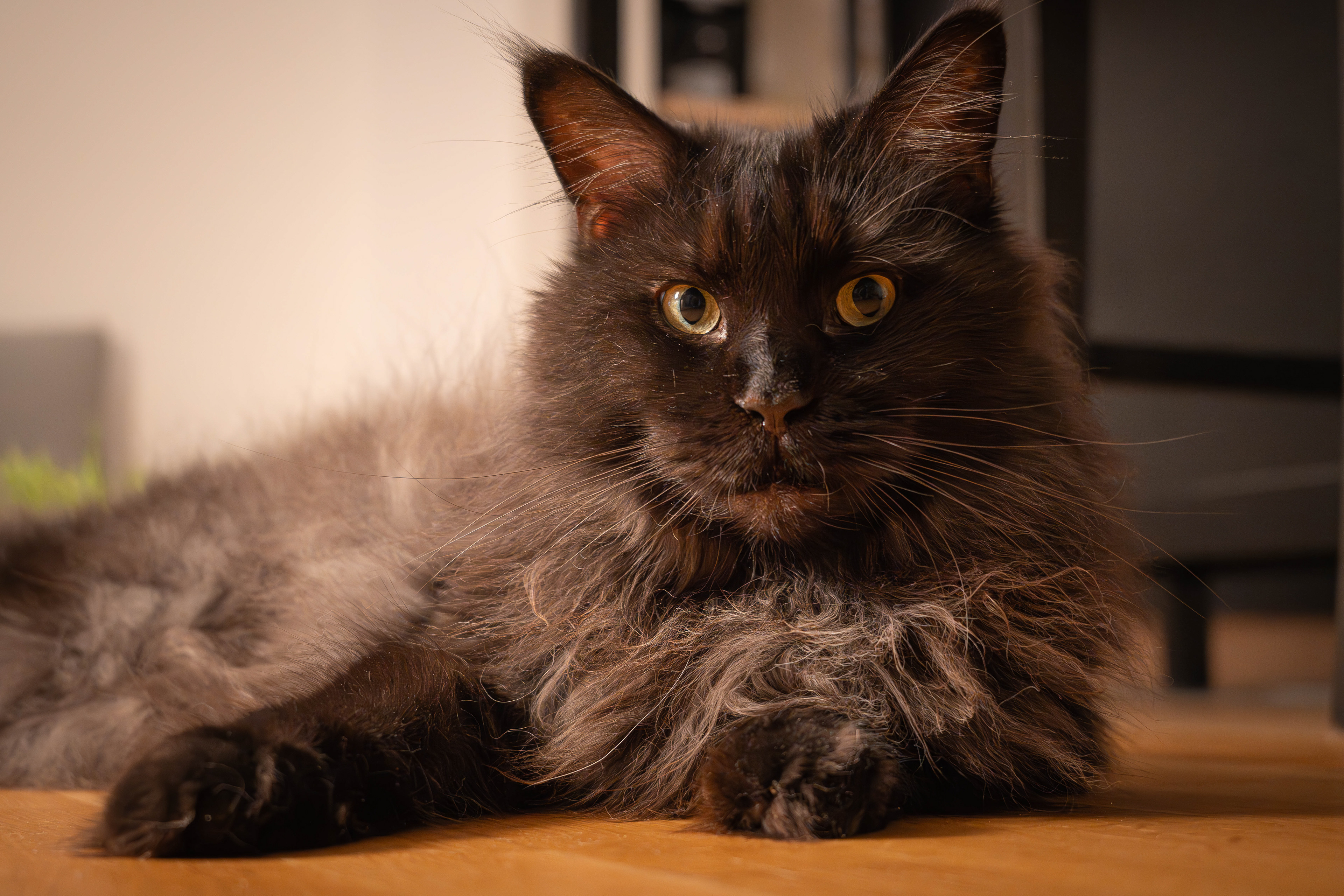 nala