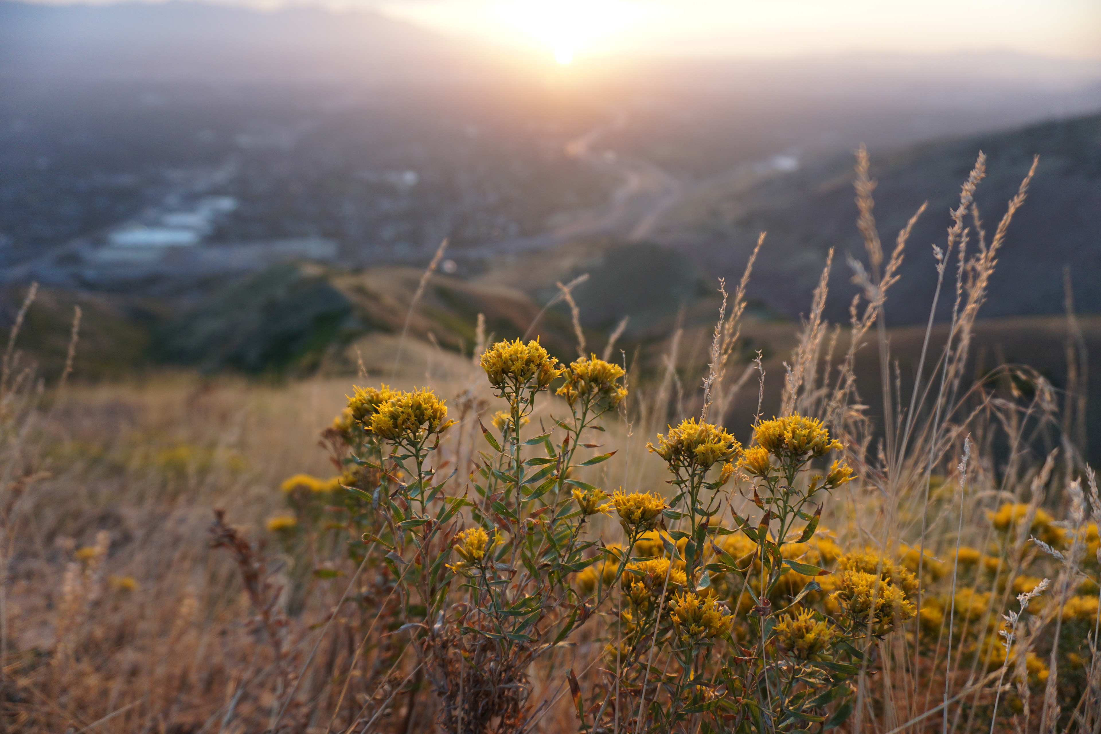 salt lake city
