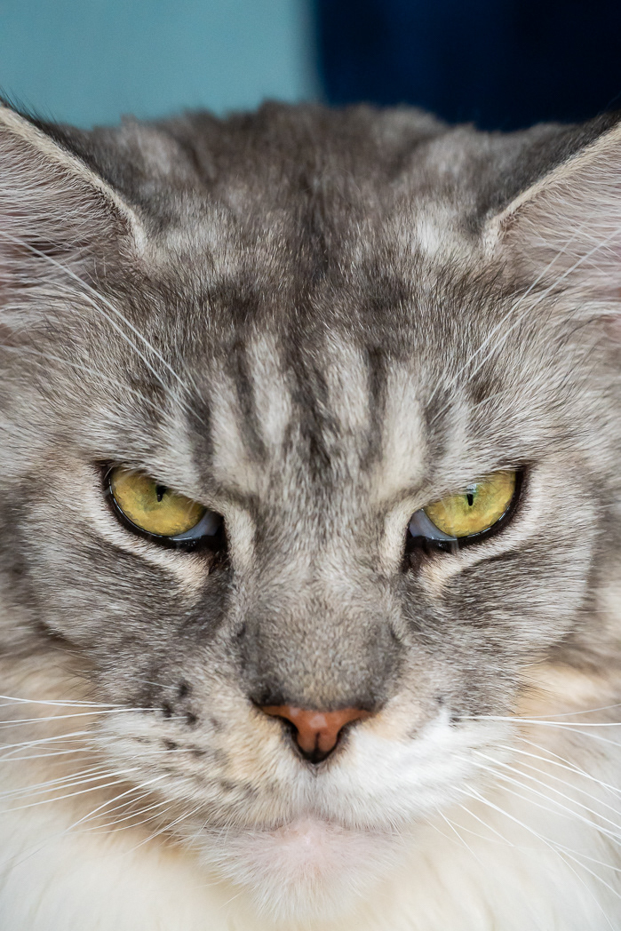 smokey