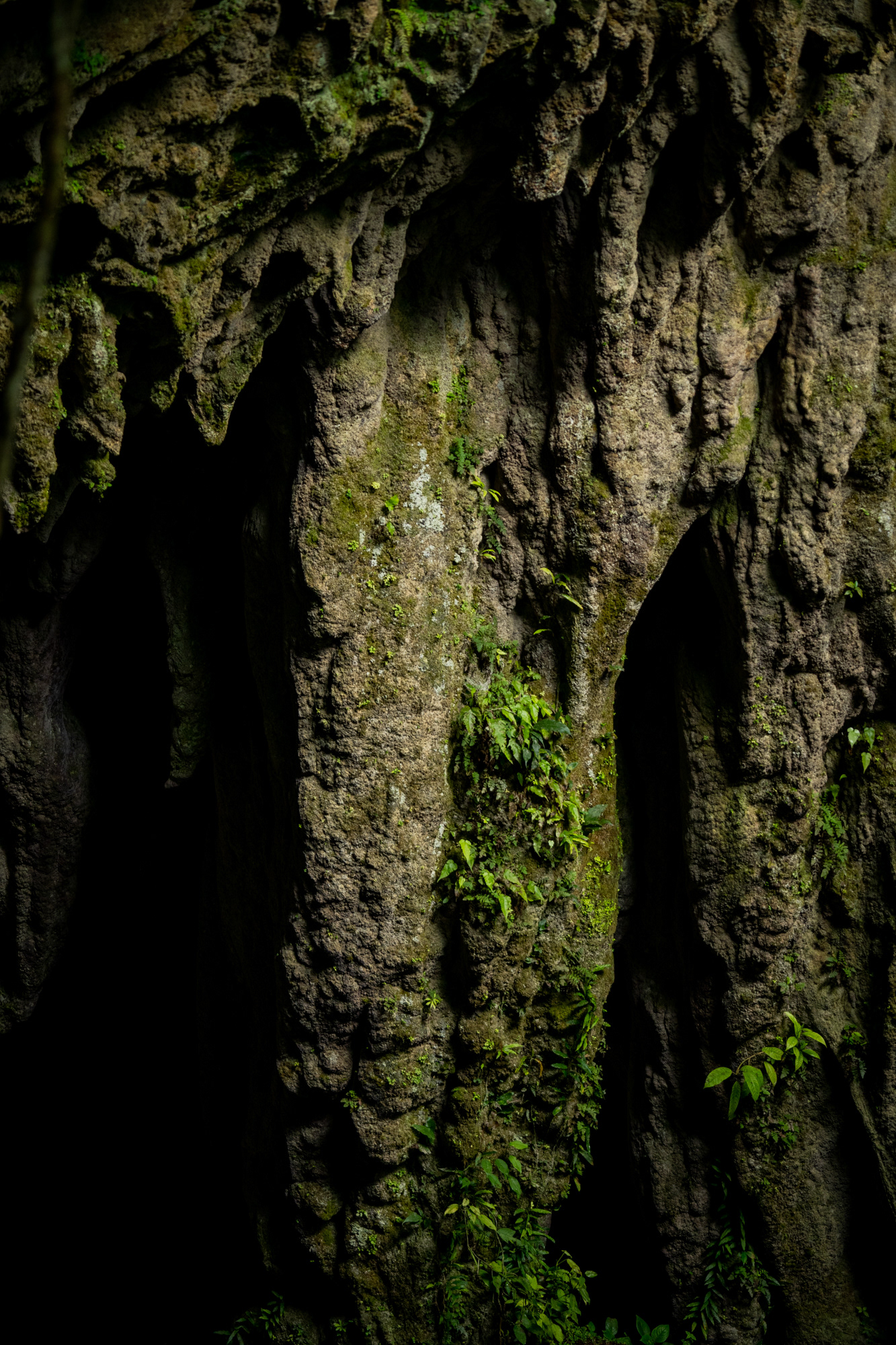 Cueva, la Gran Galaría.