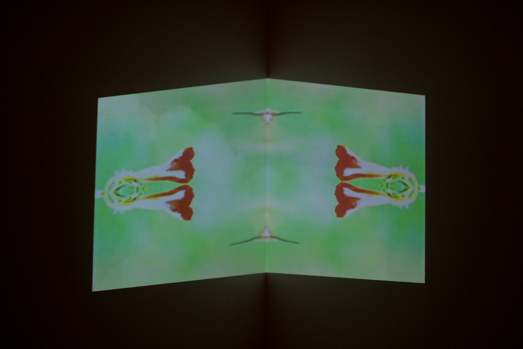 Omar Guerra @ Steppling Art Gallery