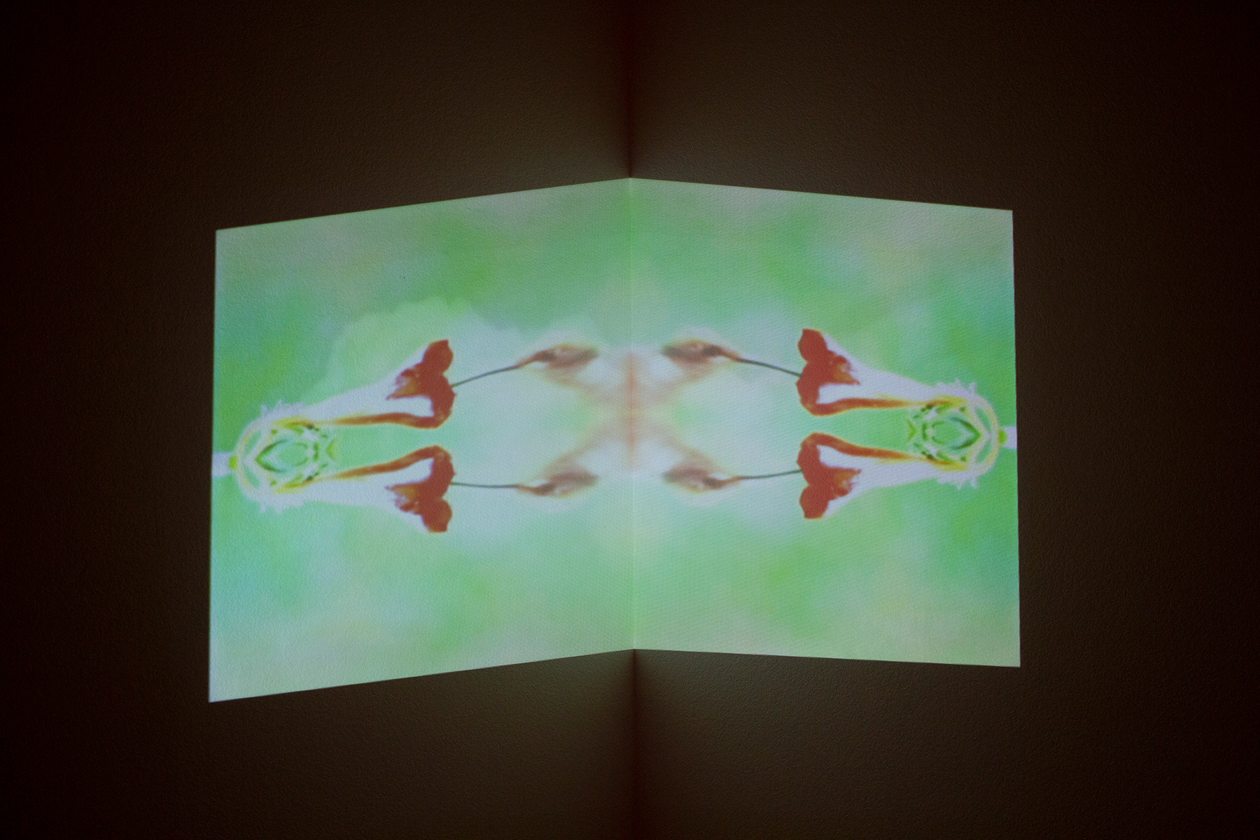 Omar Guerra @ Steppling Art Gallery
