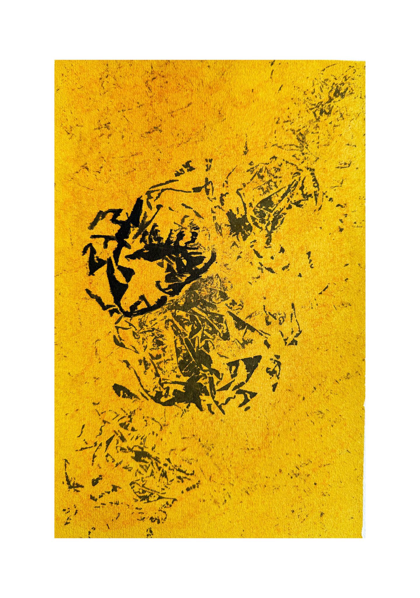 Trilobite
