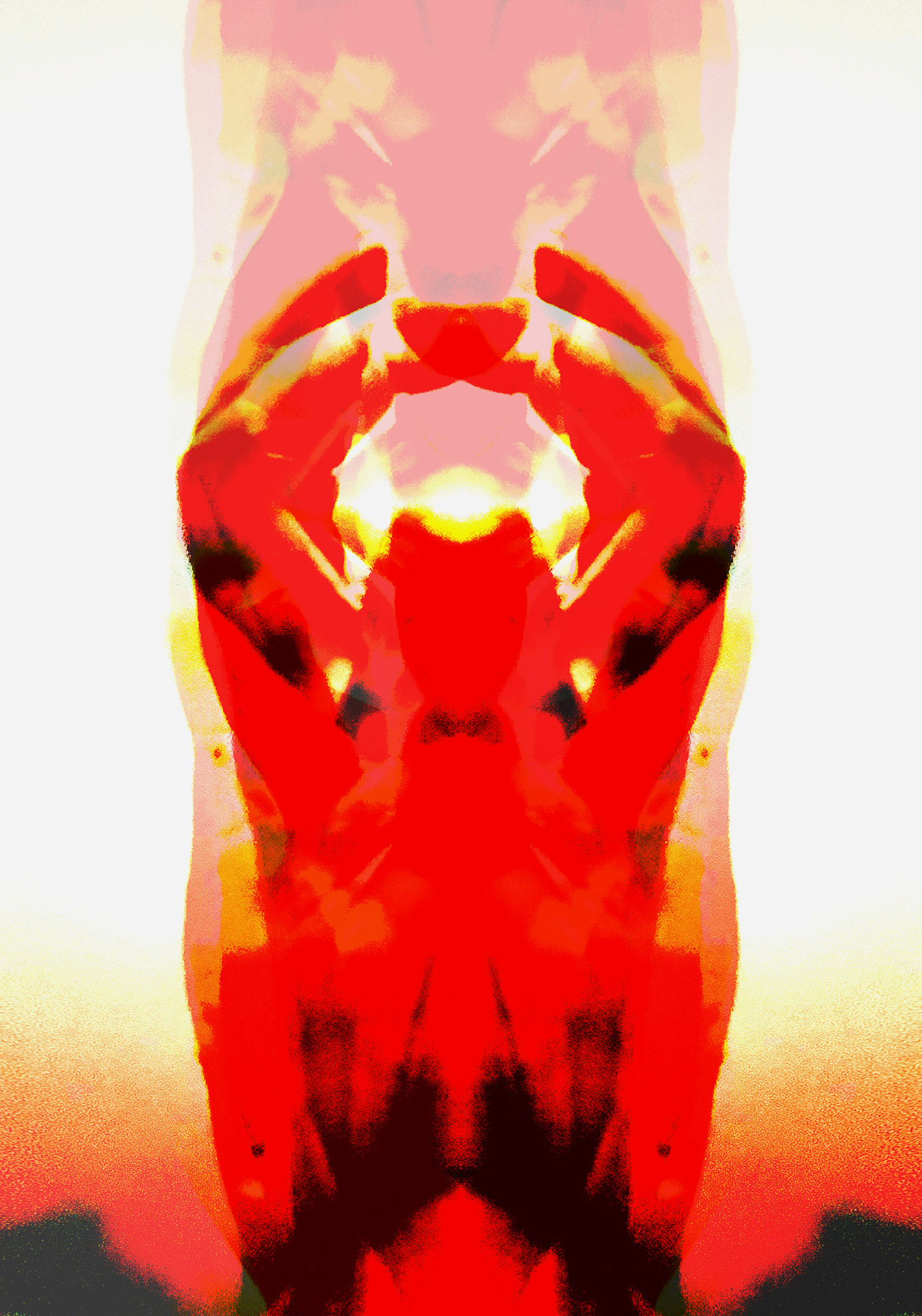 The Idol