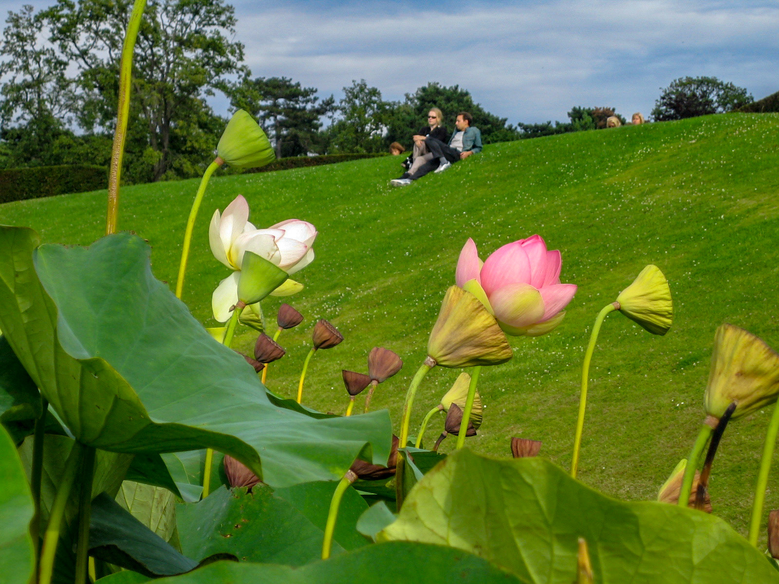 Parc floral Vincenne