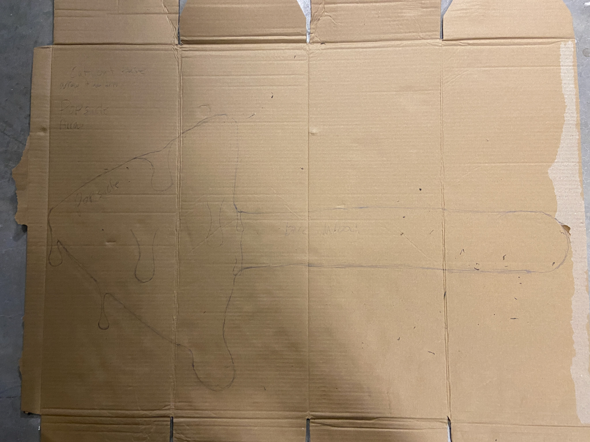 It all began with a concept on cardboard.