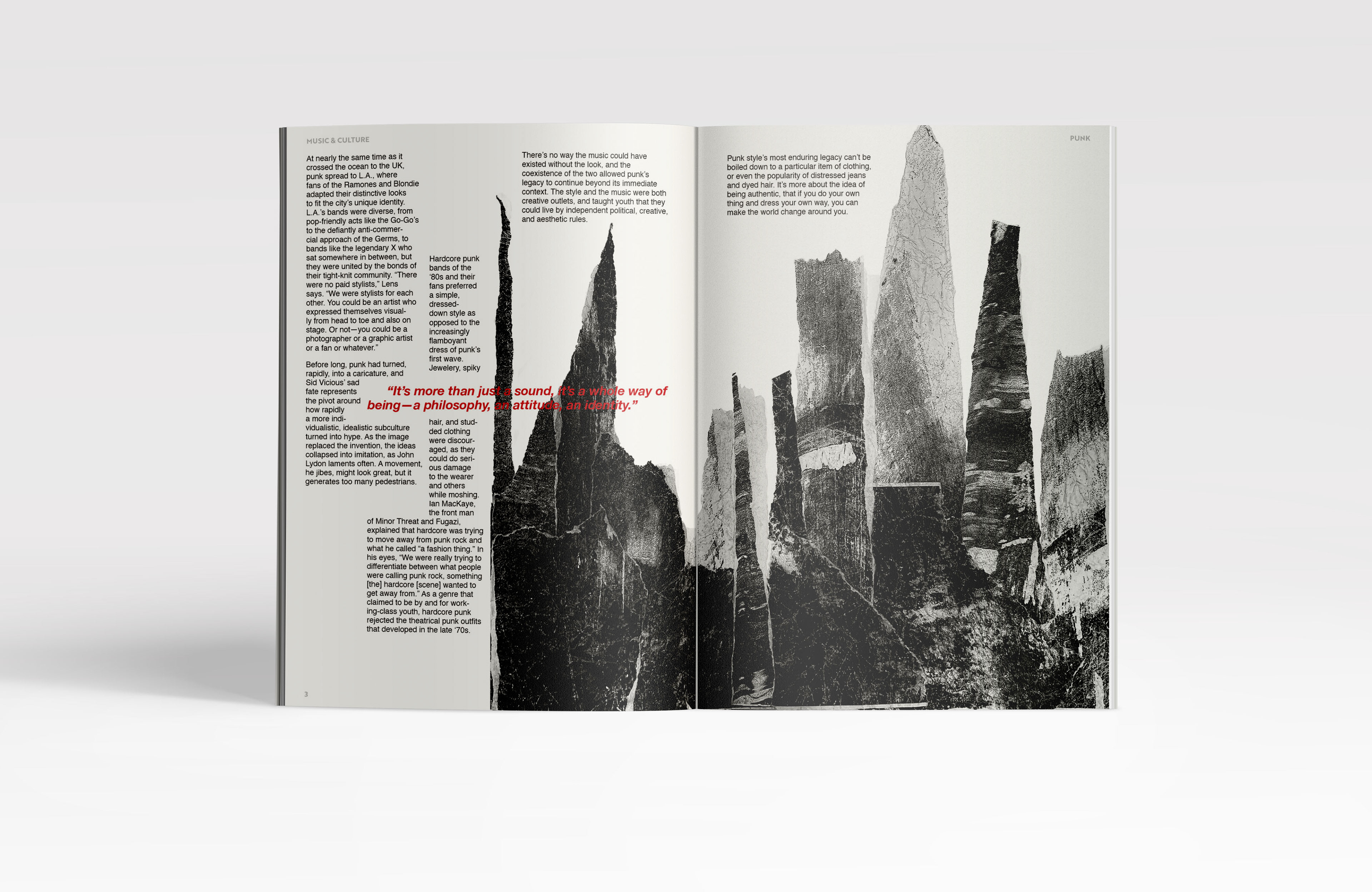 Punk Article Spread 2