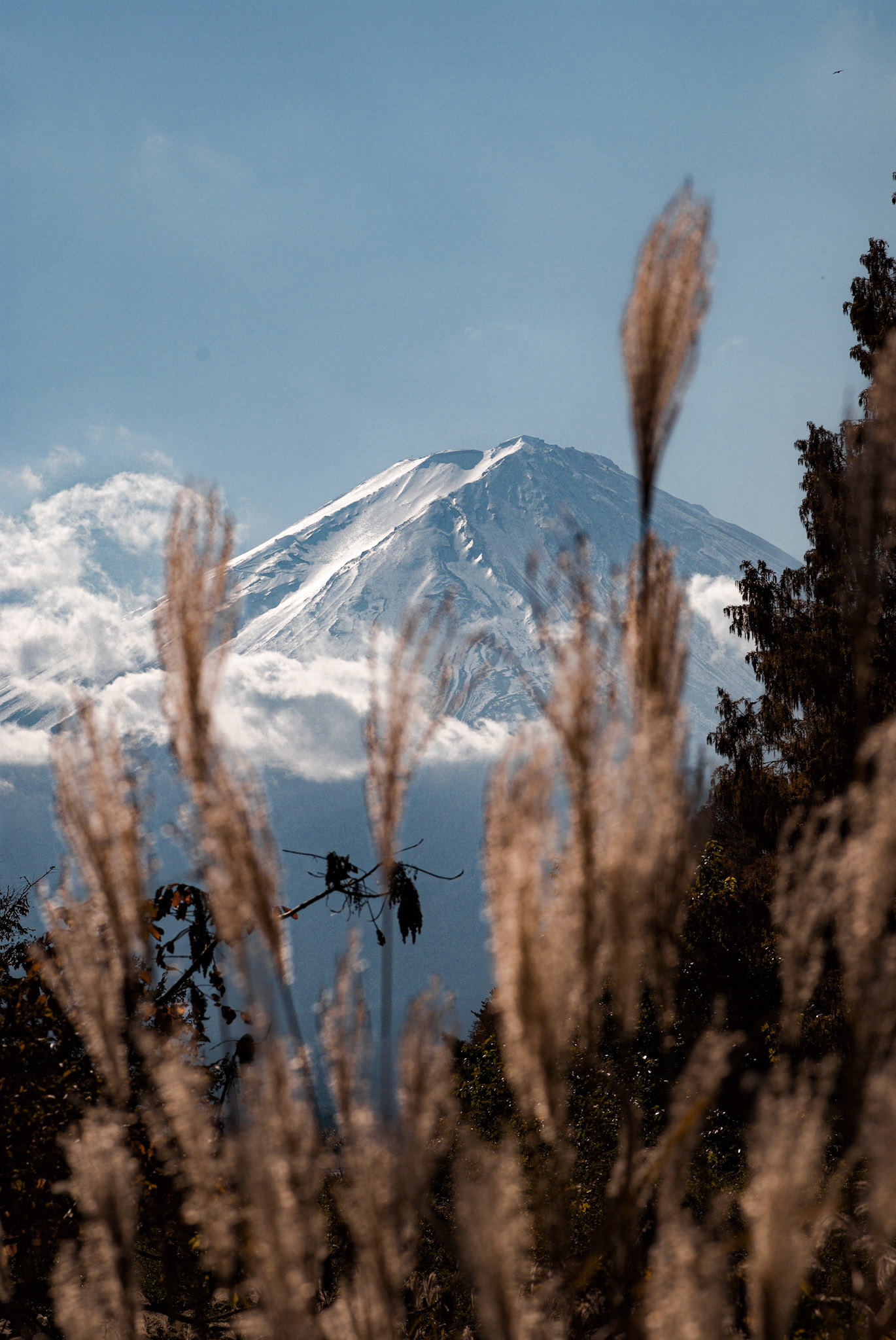 Mount Fuji