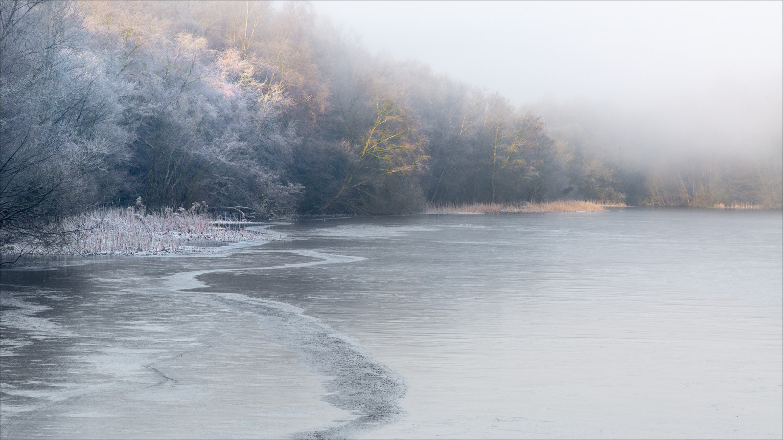 3rd. Hoar frost, Ice & Mist by Tom Swallow