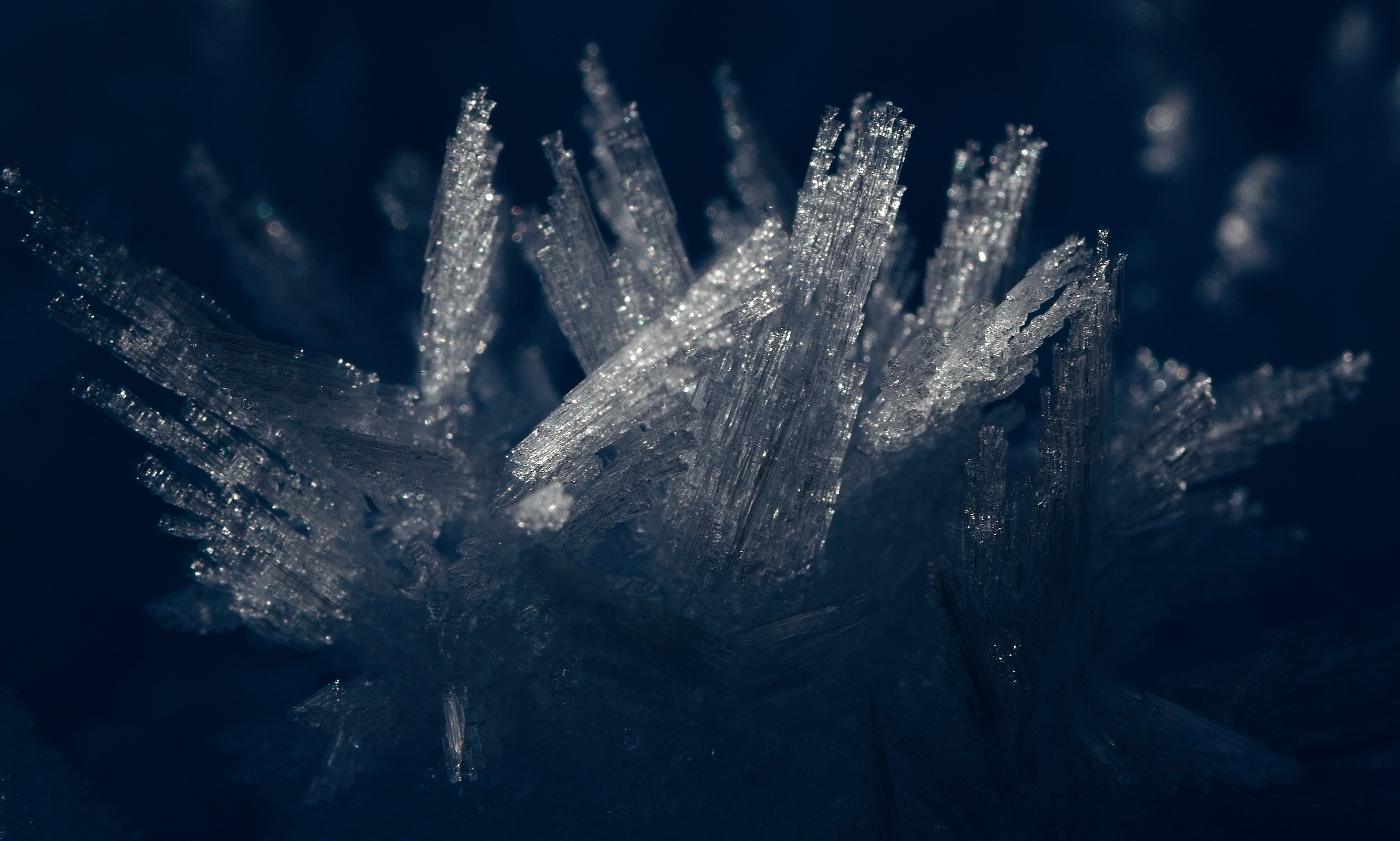 HC. Snow Flake by Paddy Weston