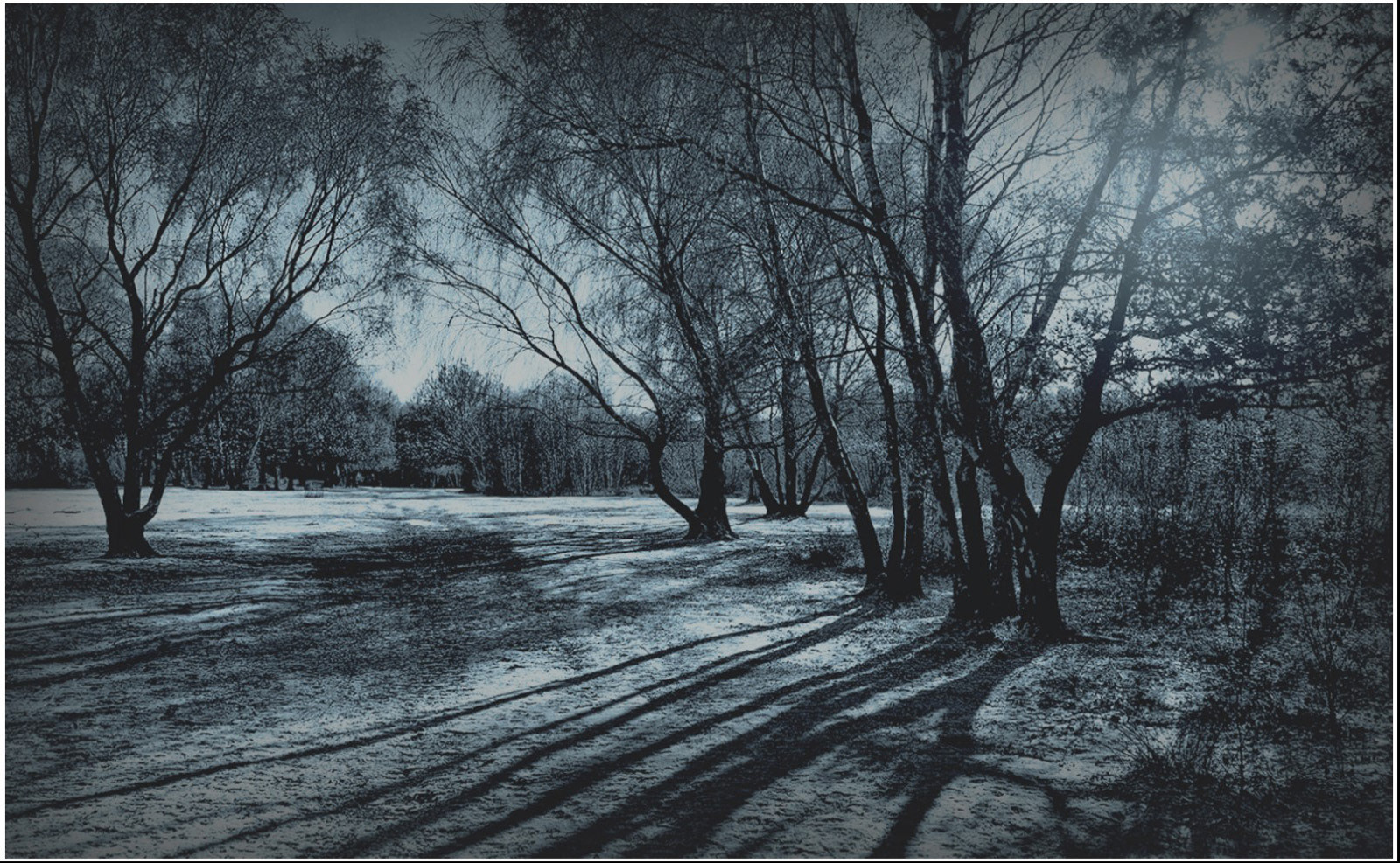 Highly Commended Tititania's Frosty Realm by Angus Speirs