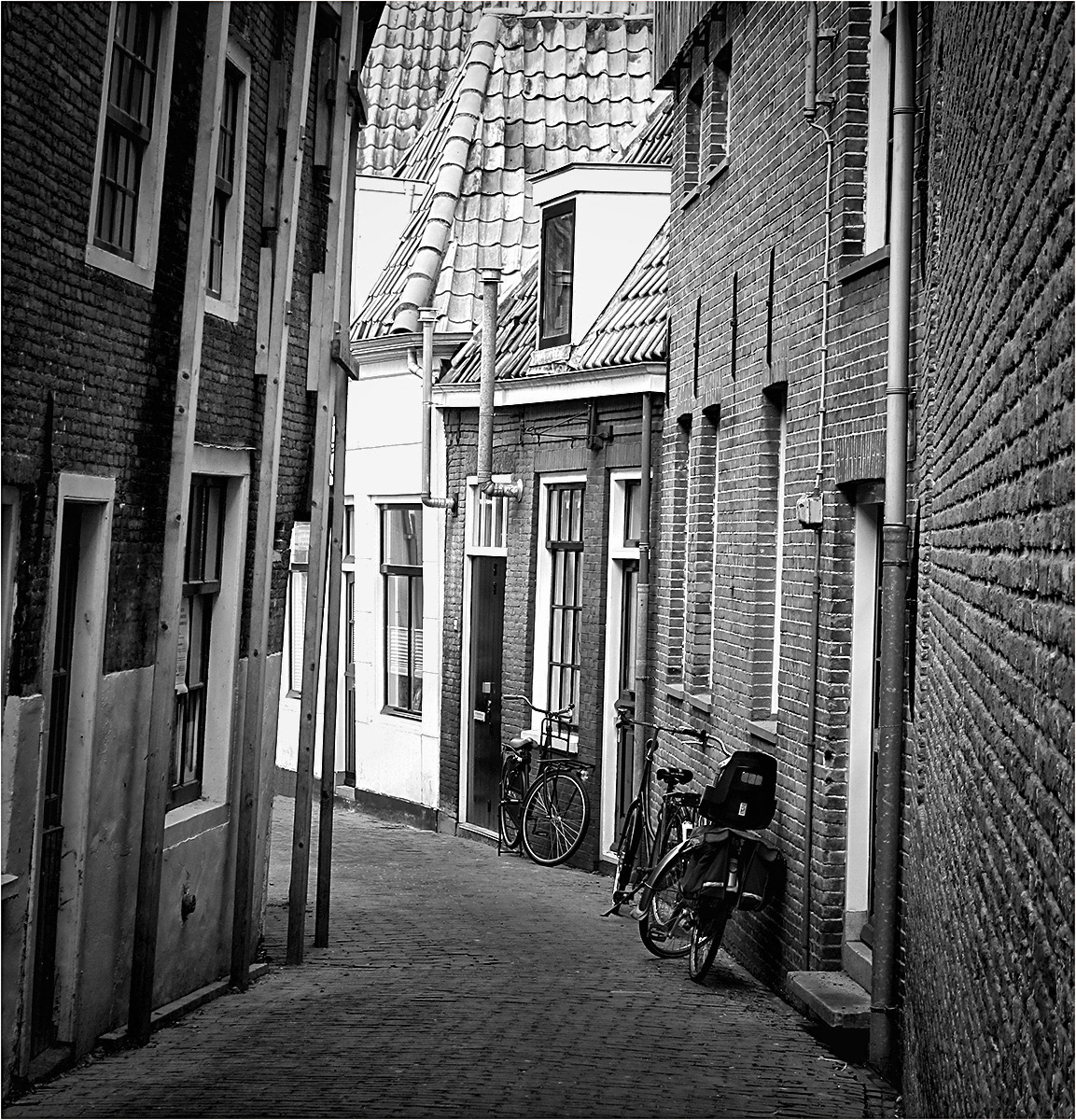 C. Lean Street by Sheila Purvis