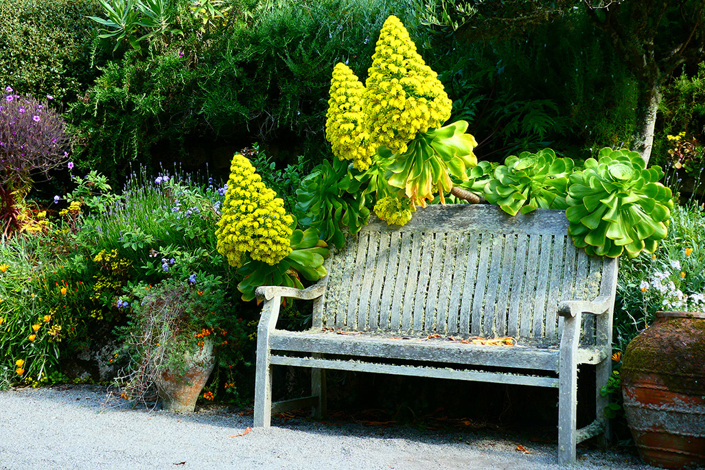 C. Taking a seat -Sheila Purvis