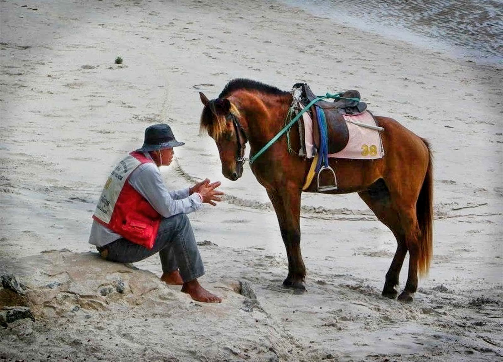1st Horse Whisperer by Melvin Ditchburn
