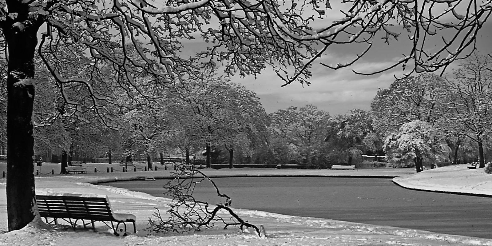 3rd A Winters Day by Eric Thomas