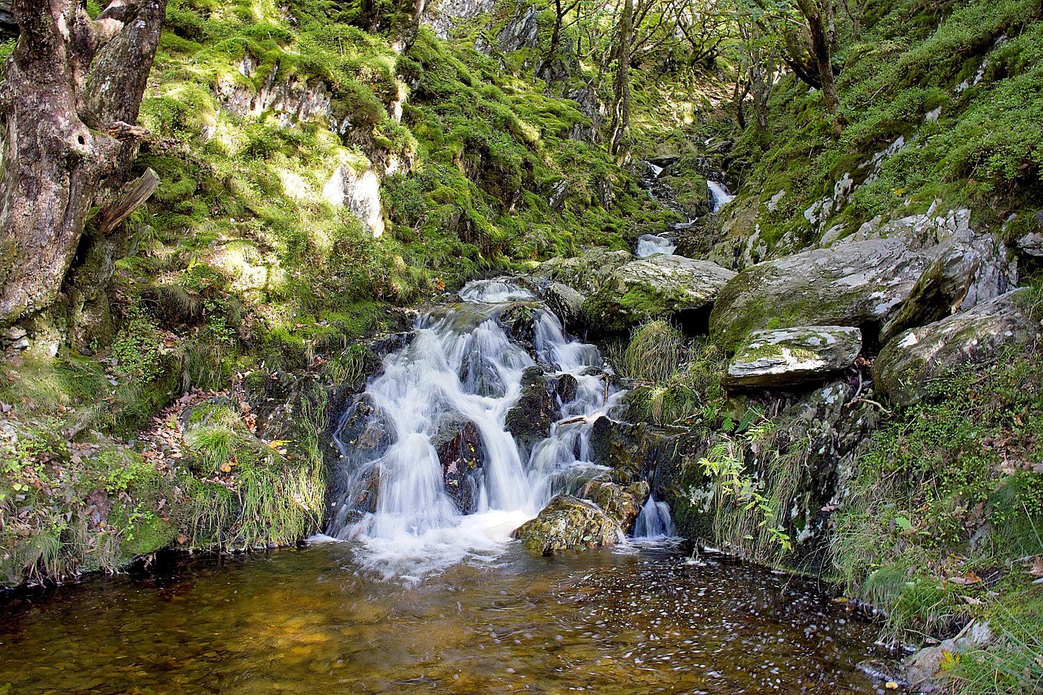 3rd Water fall in the woods by Eric Thomas
