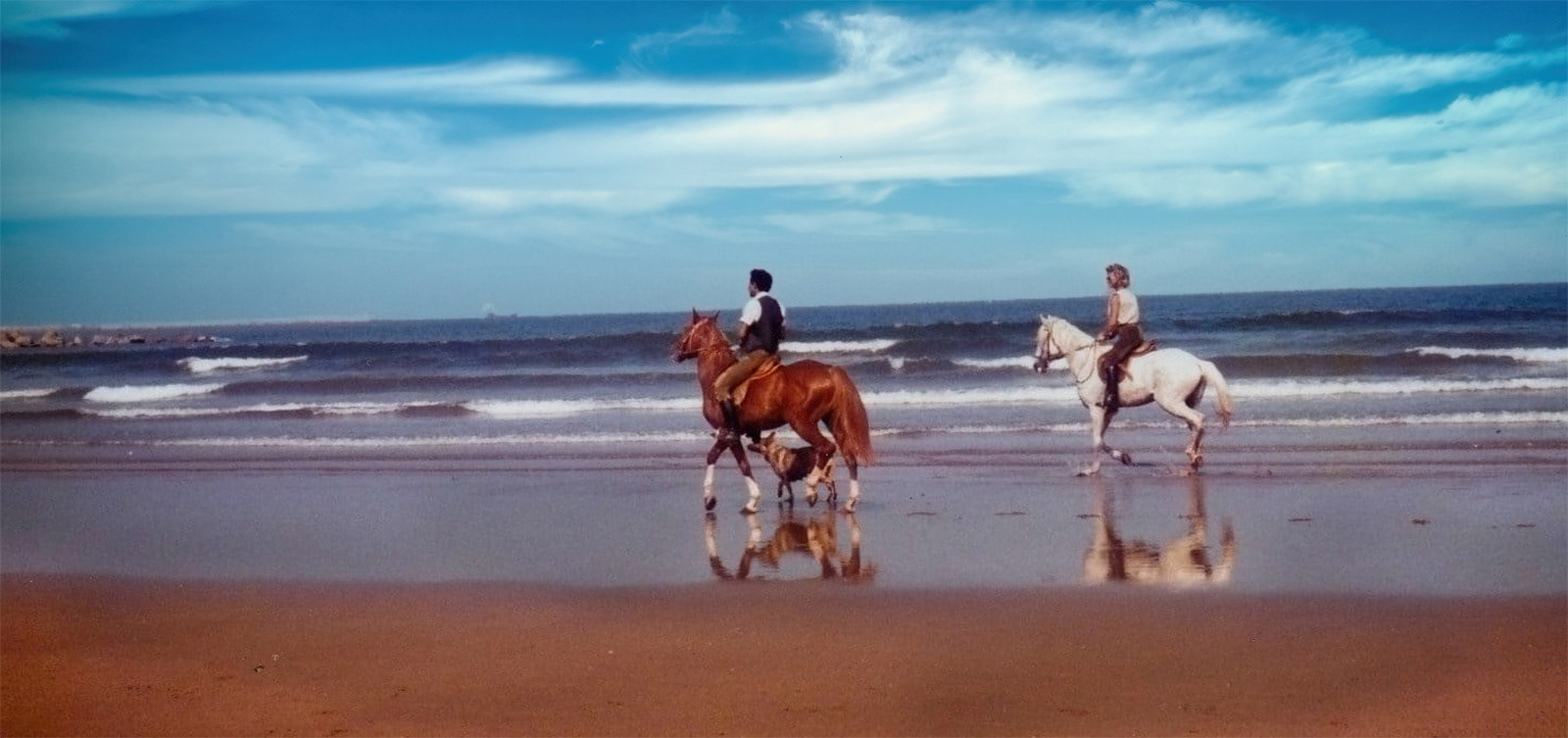 Beach Rider by Melvyn Ditchburn